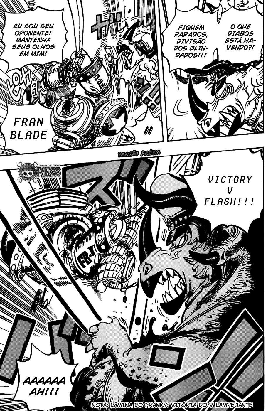 One Piece capítulo 1004 página 12