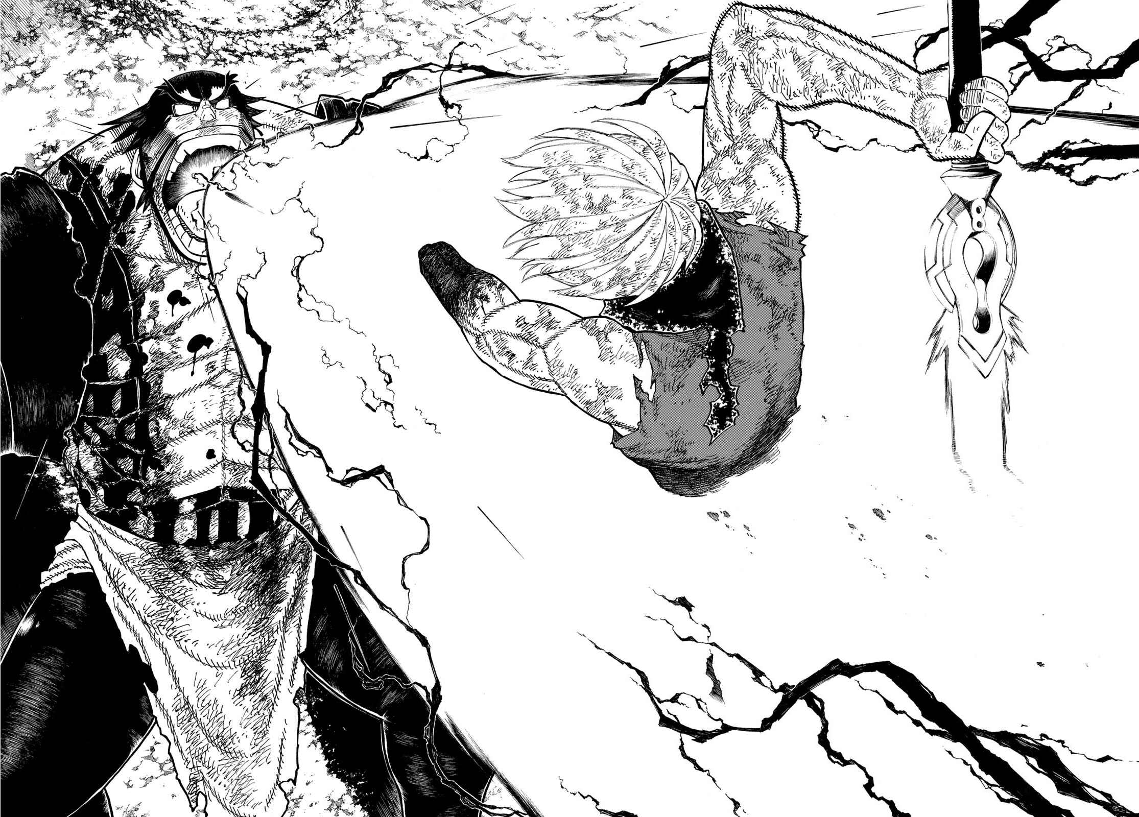Fire Force capítulo 271 página 17