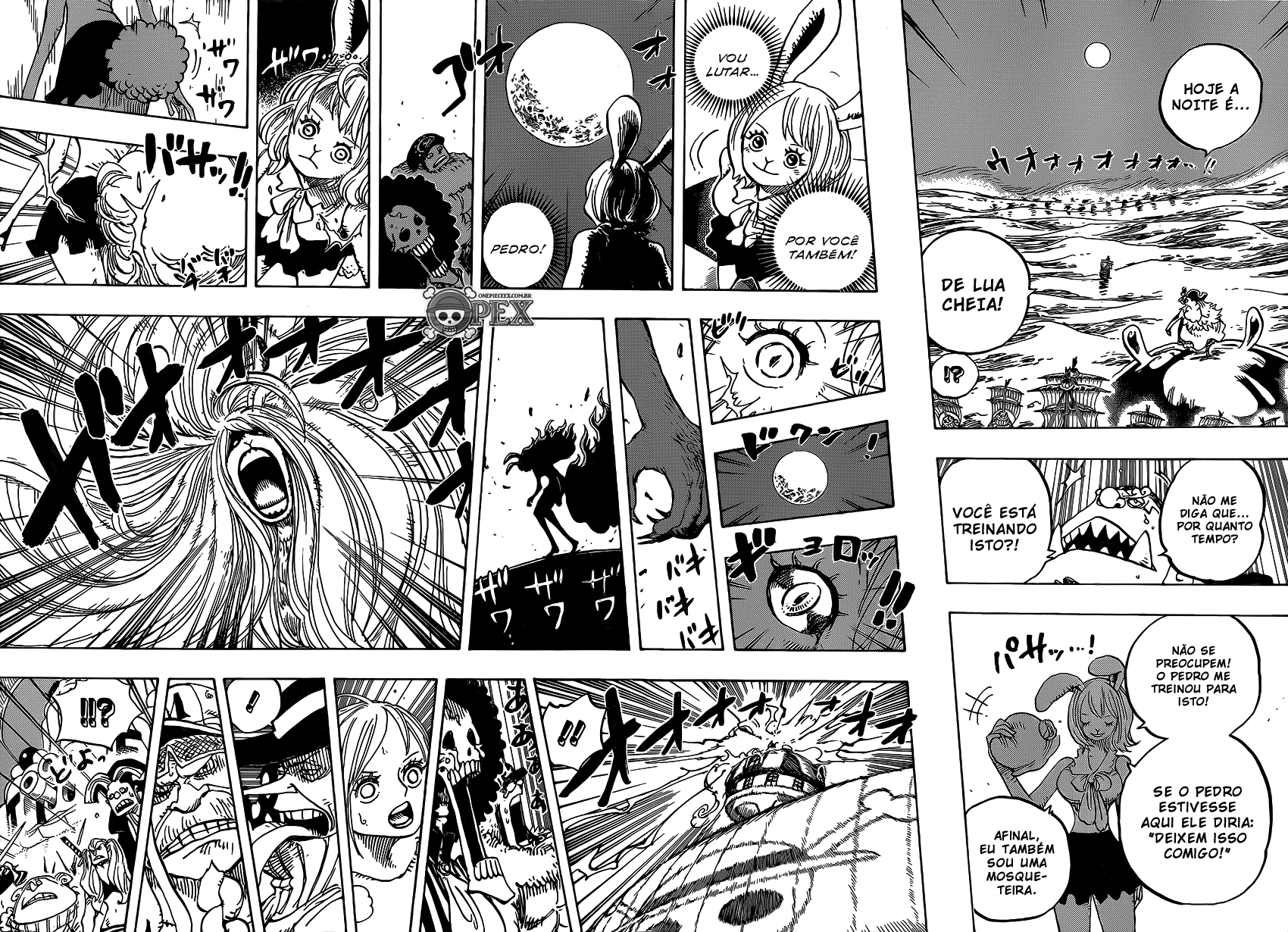 One Piece capítulo 888 página 11