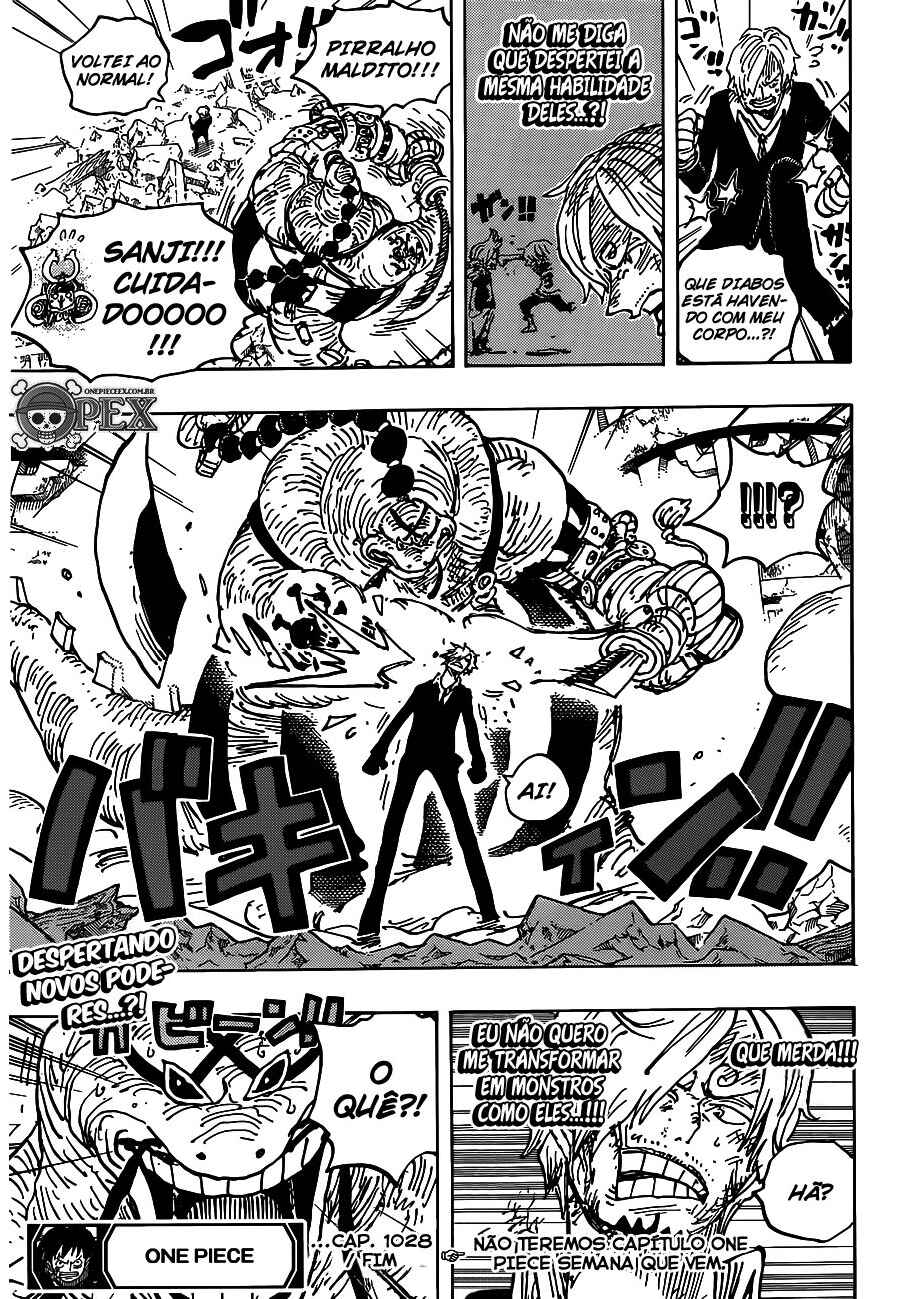 One Piece capítulo 1028 página 17