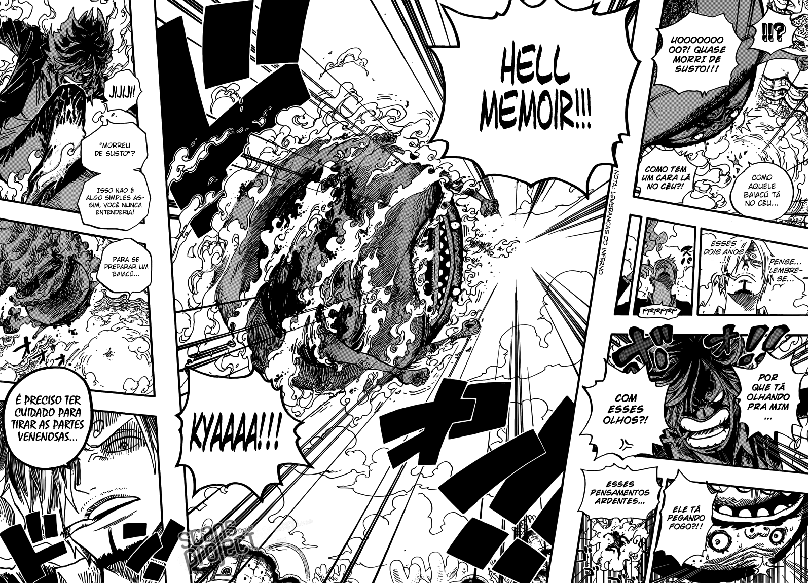 One Piece capítulo 646 página 12