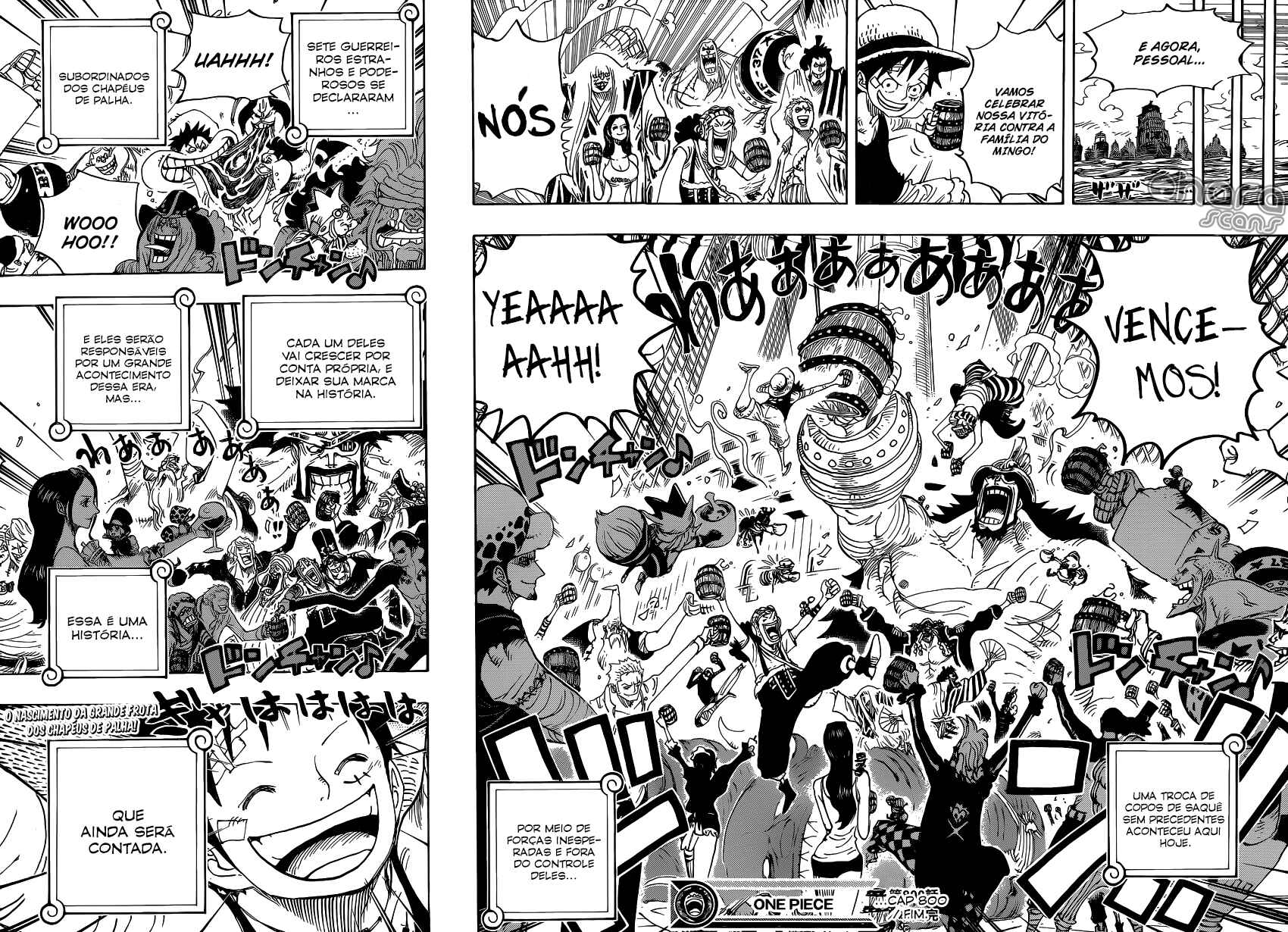 One Piece capítulo 800 página 15