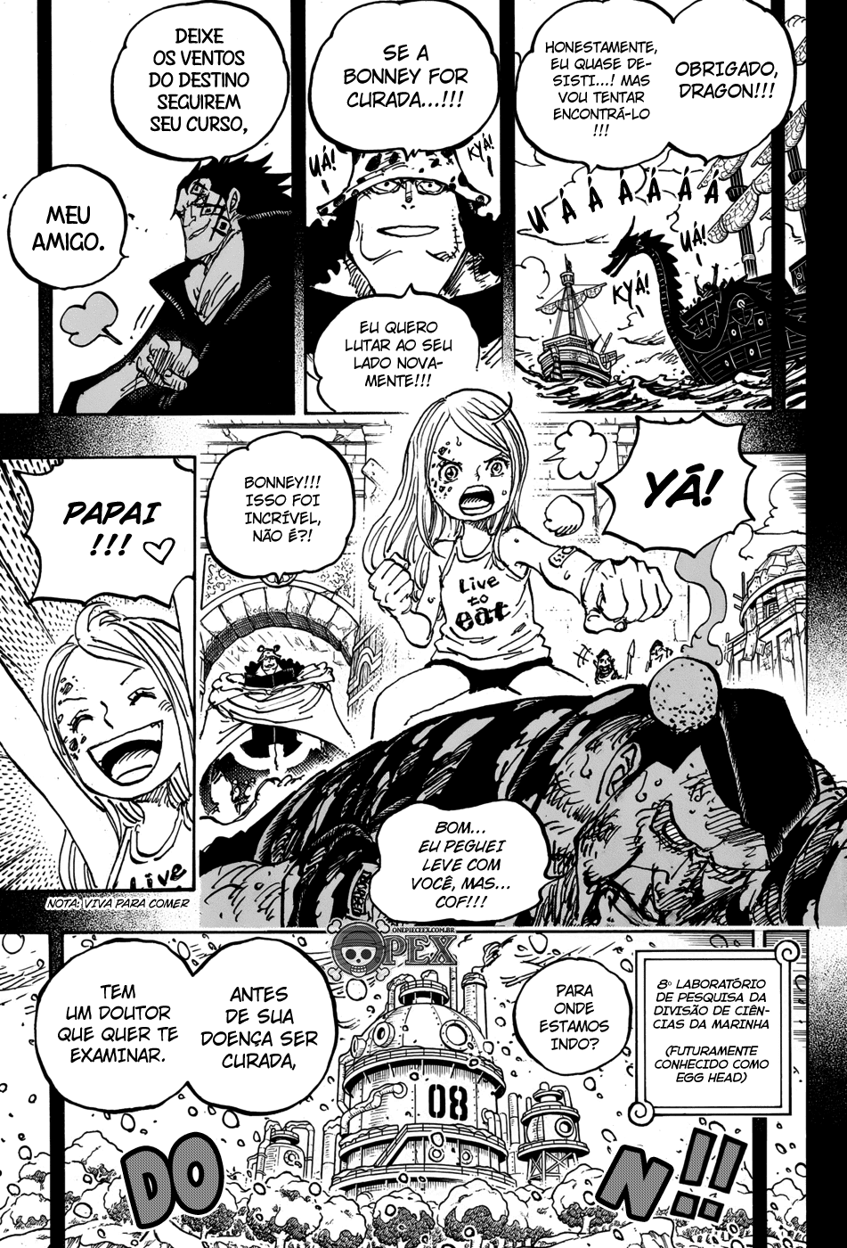One Piece capítulo 1099 página 12