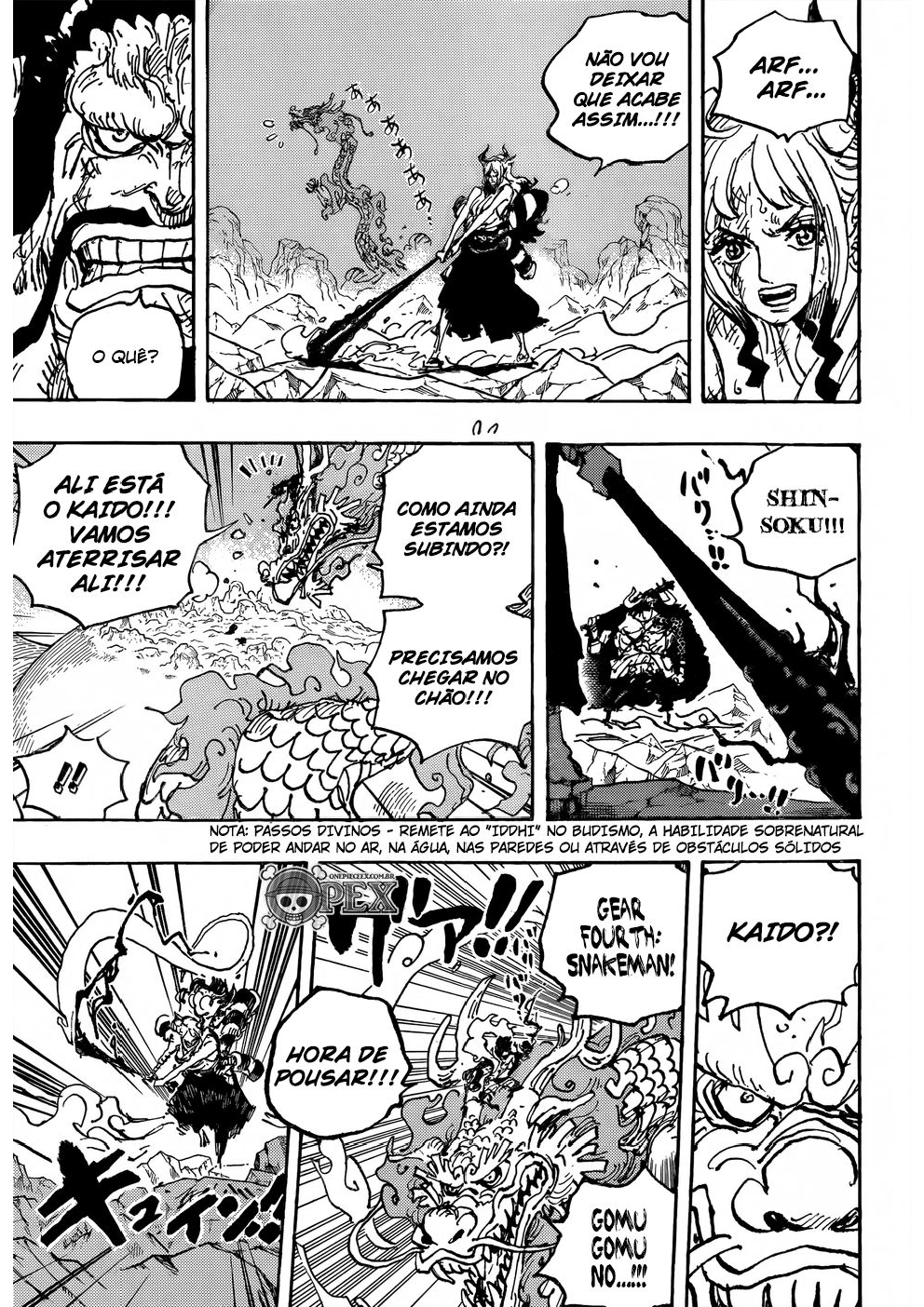 One Piece capítulo 1025 página 13