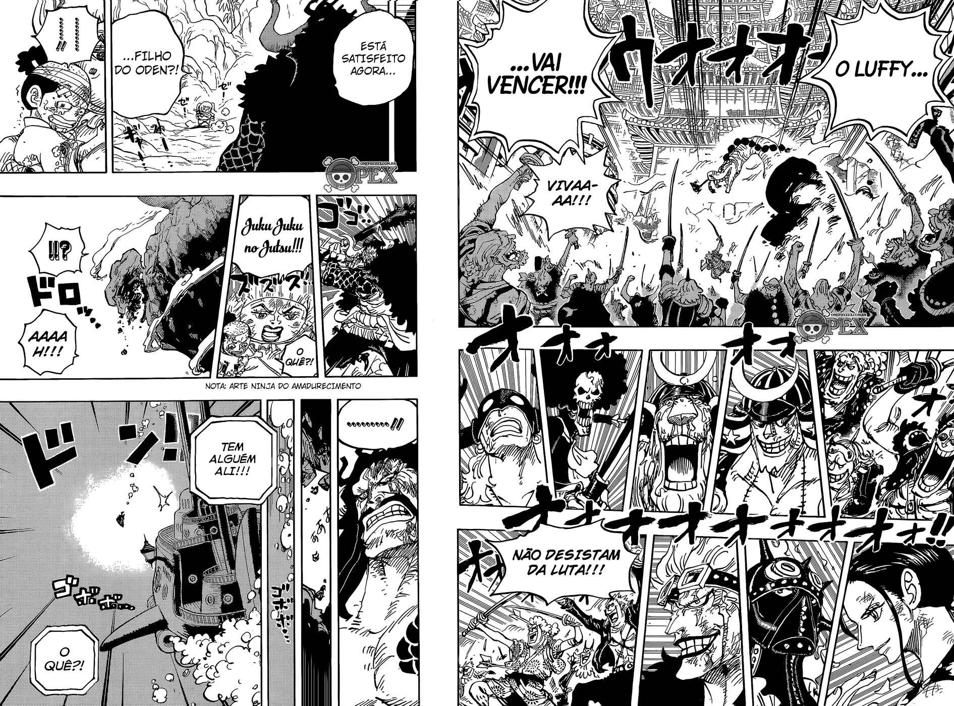 One Piece capítulo 1015 página 13