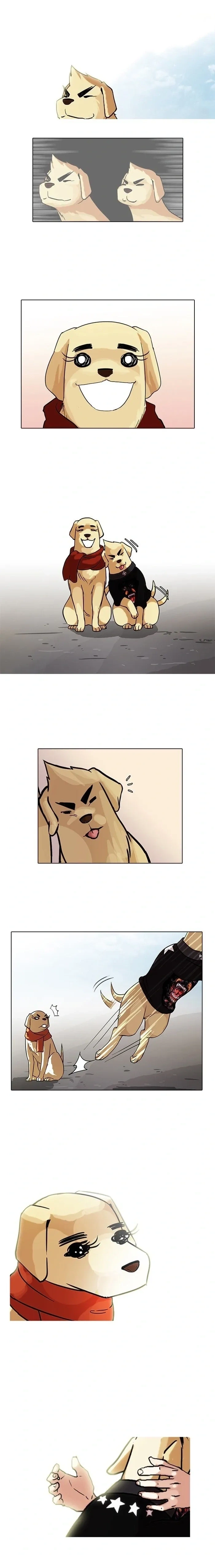 Lookism capítulo 70 página 17