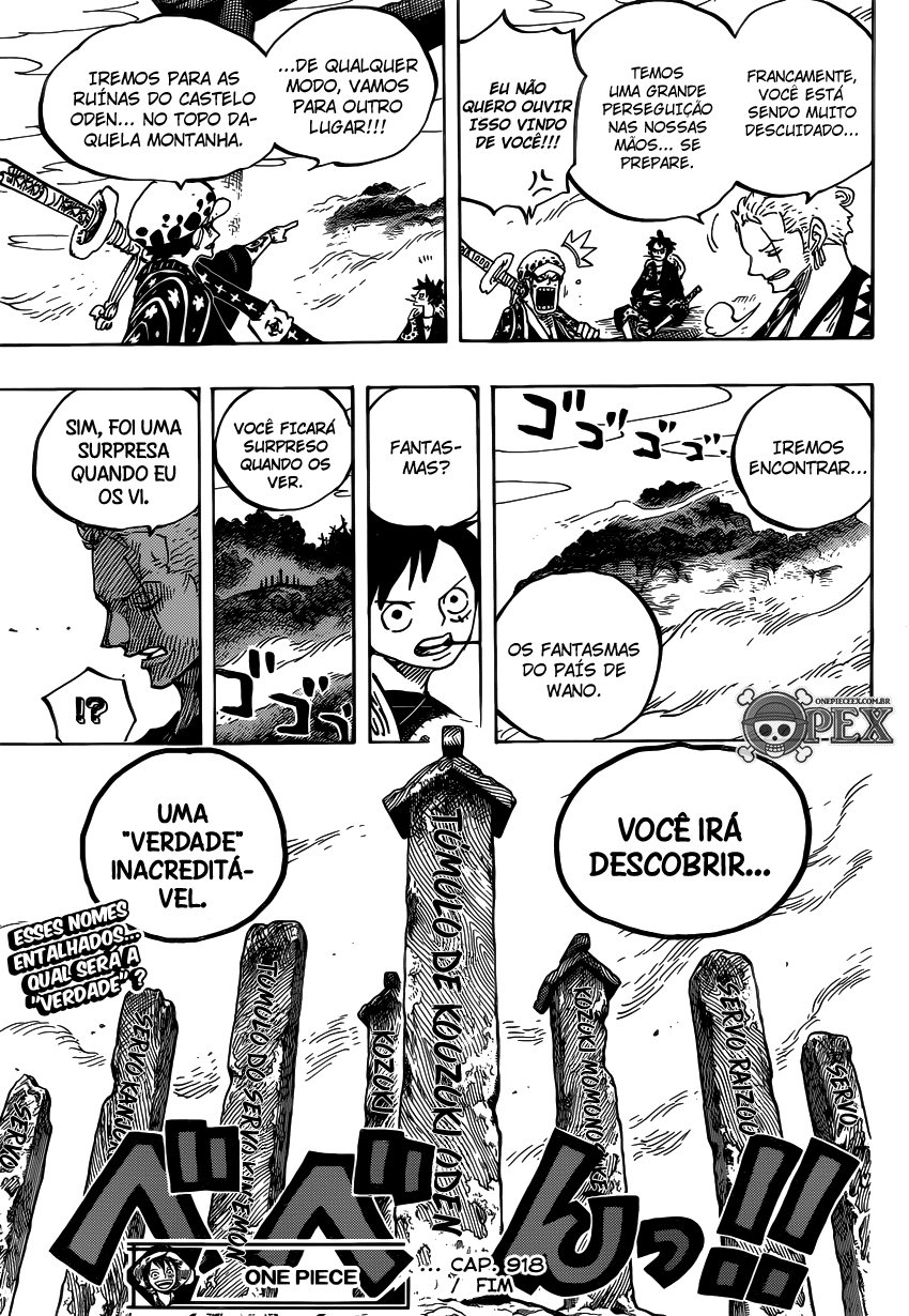One Piece capítulo 918 página 17