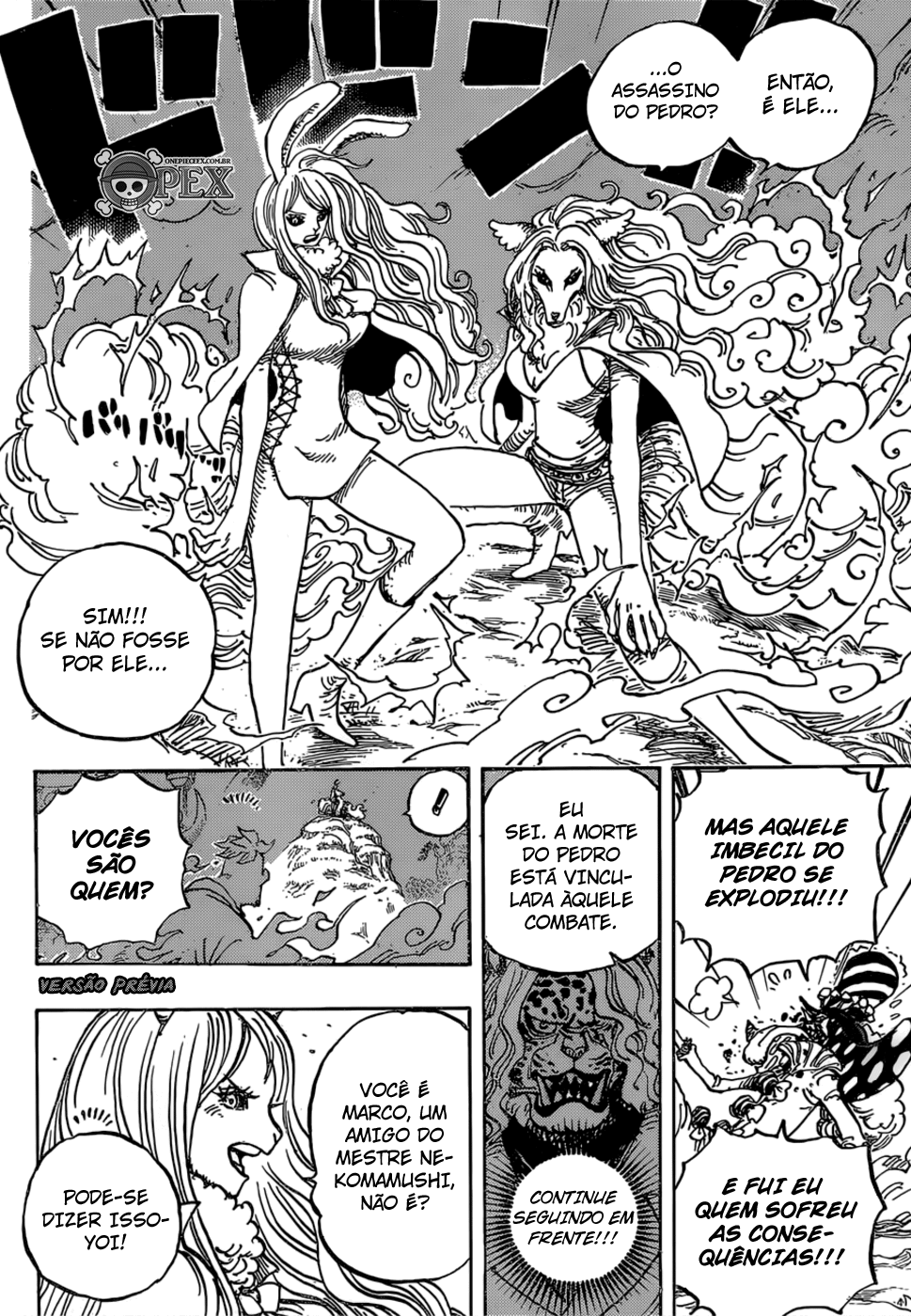 One Piece capítulo 995 página 5