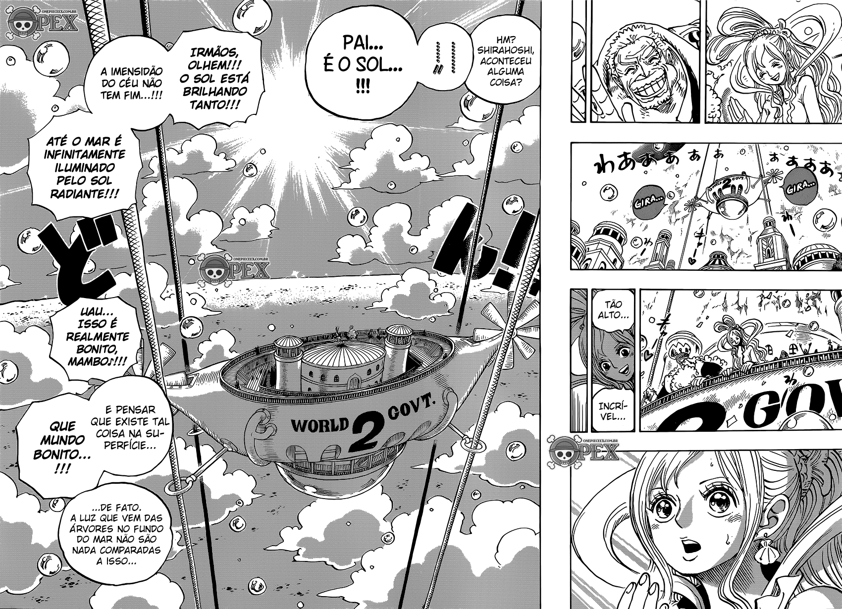 One Piece capítulo 905 página 12