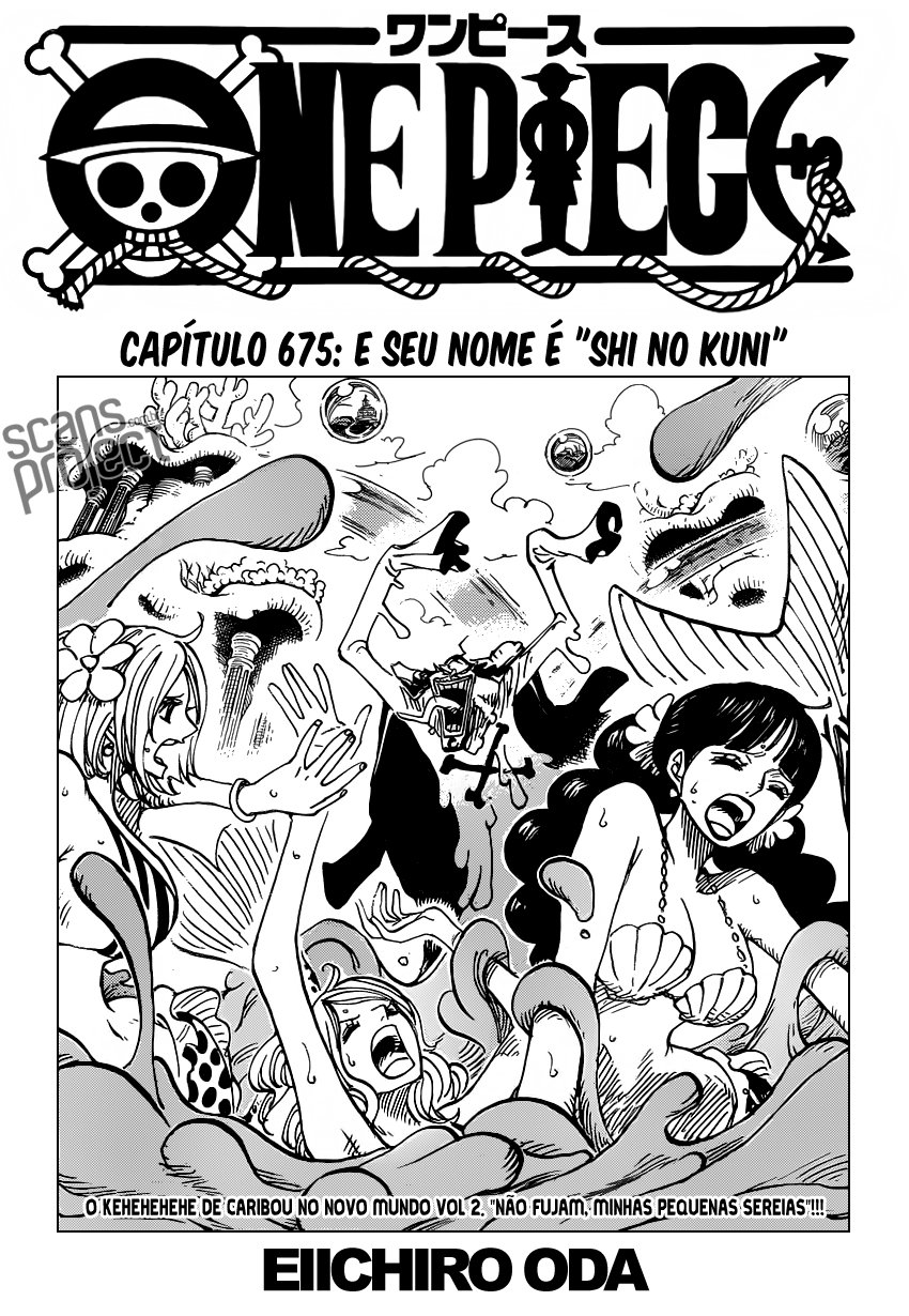 One Piece capítulo 675 página 2