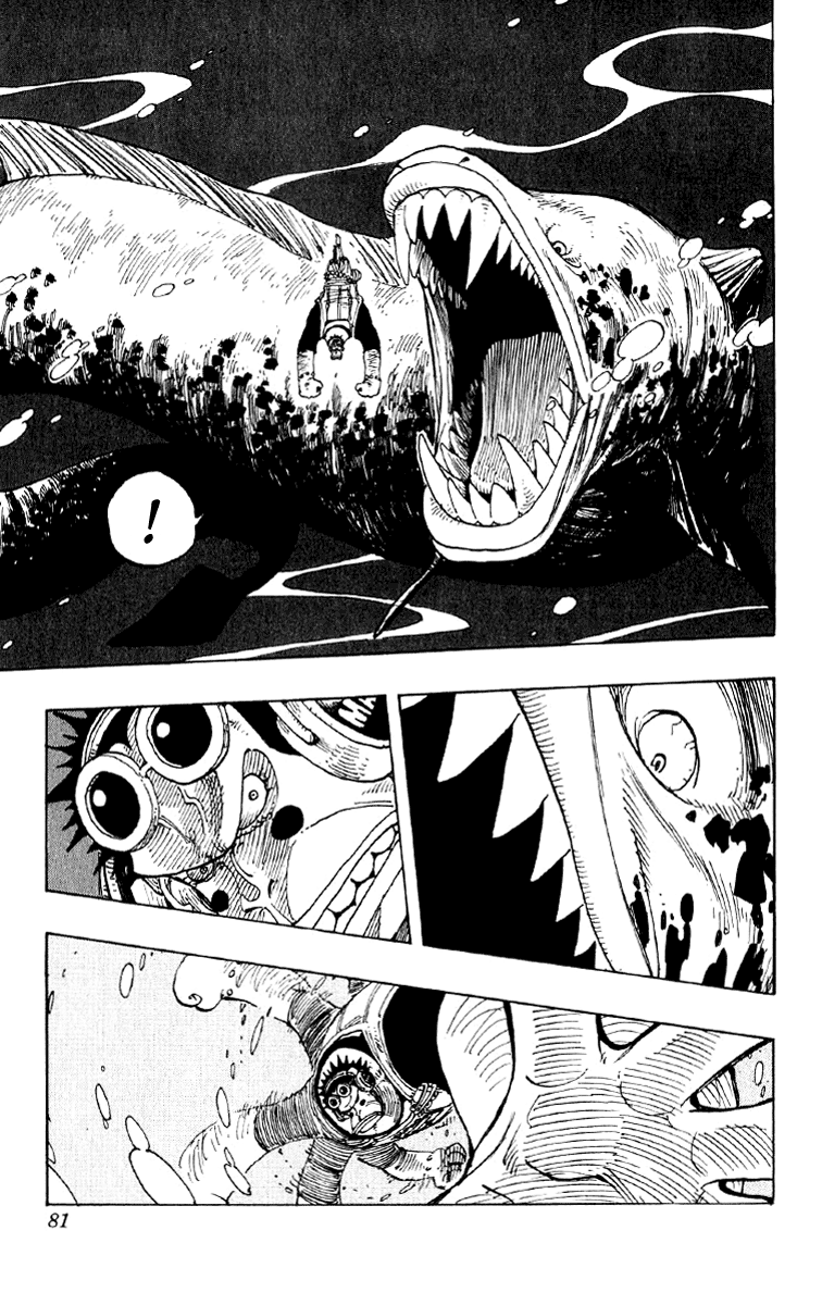 One Piece capítulo 220 página 15