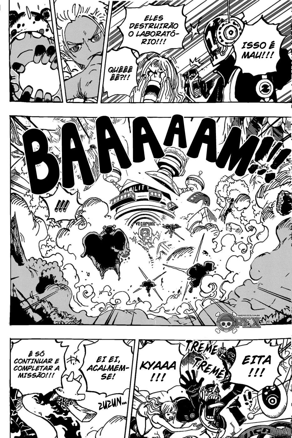 One Piece capítulo 1072 página 15