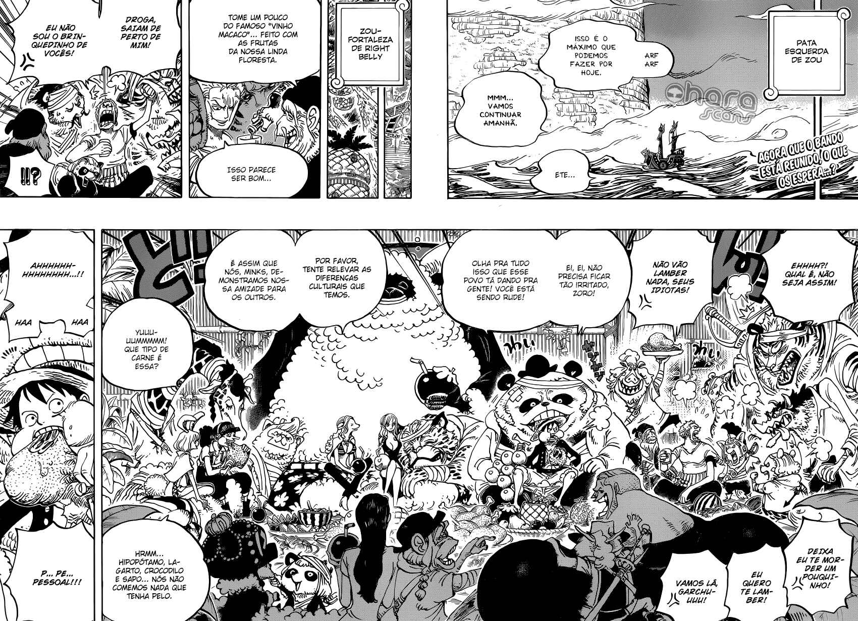One Piece capítulo 807.10 página 4