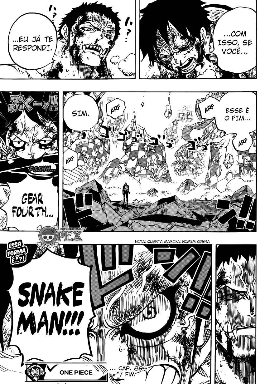 One Piece capítulo 894.005 página 17