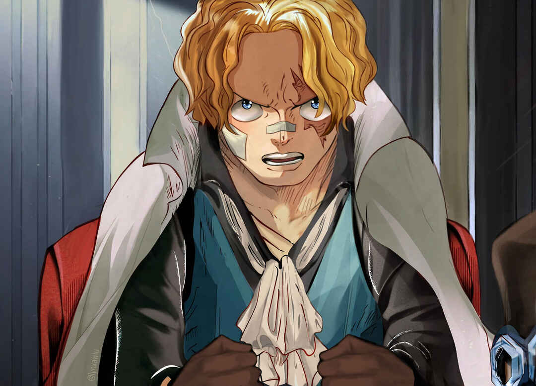One Piece capítulo 1082 página 15