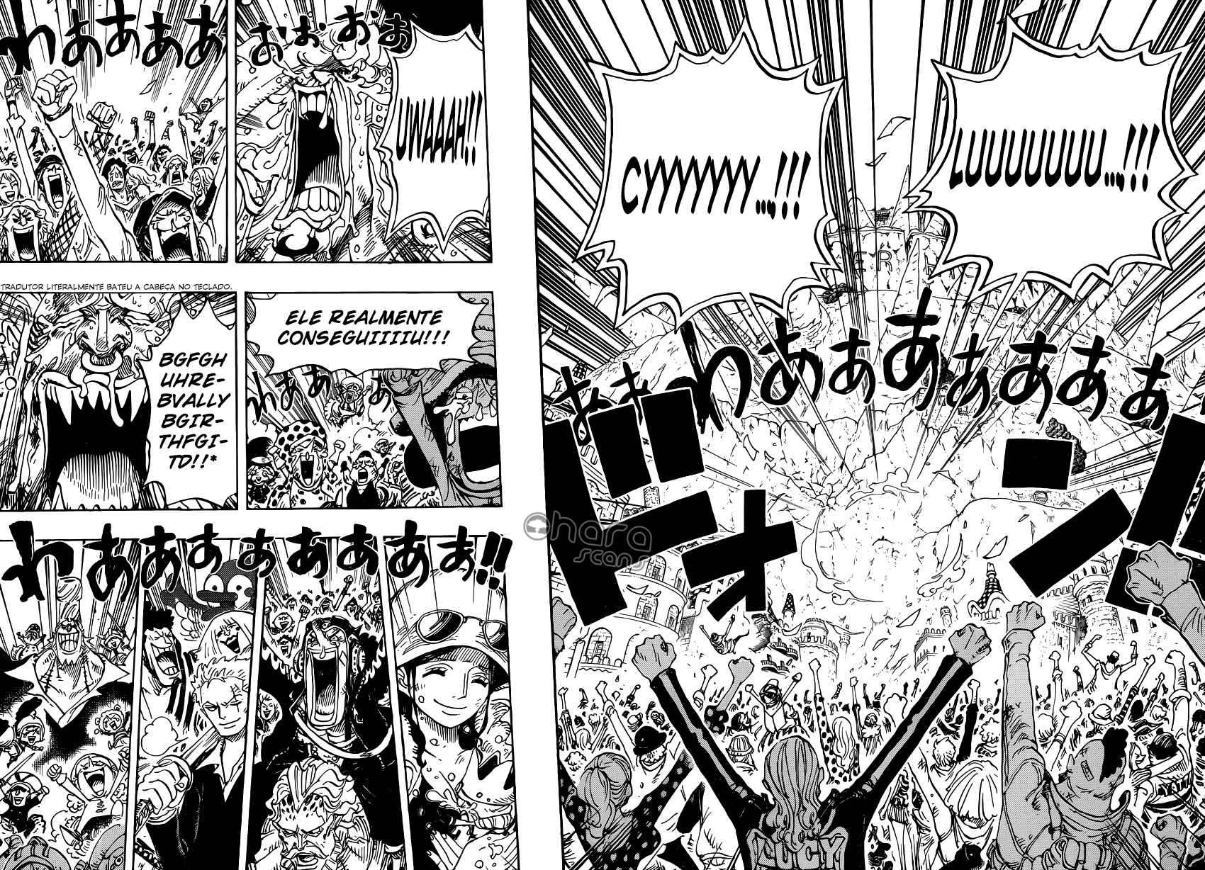One Piece capítulo 791 página 14