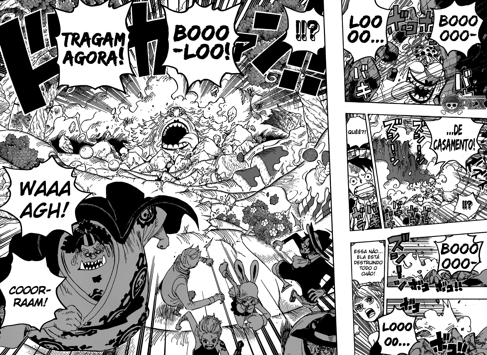 One Piece capítulo 876 página 5