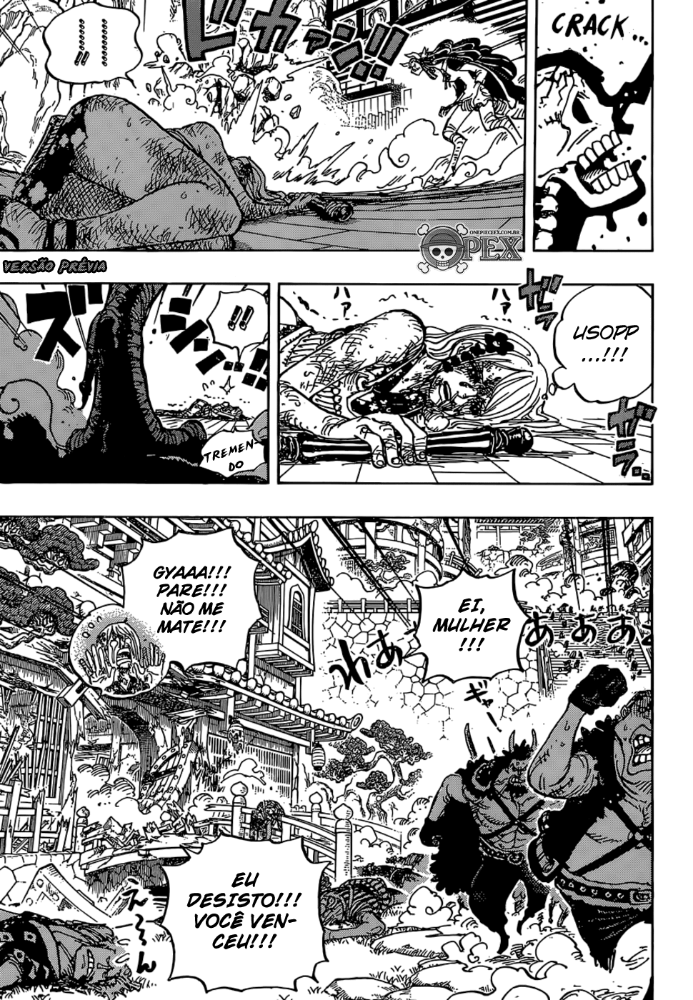One Piece capítulo 995 página 14