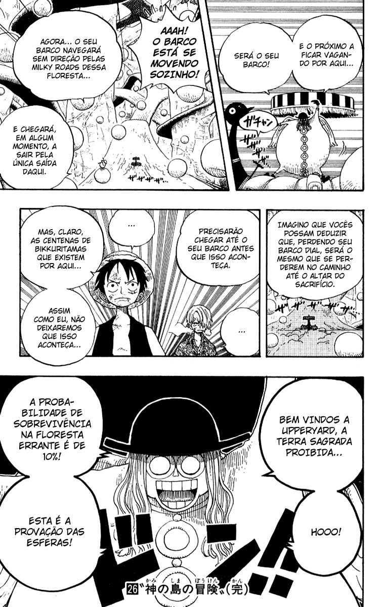 One Piece capítulo 246 página 19
