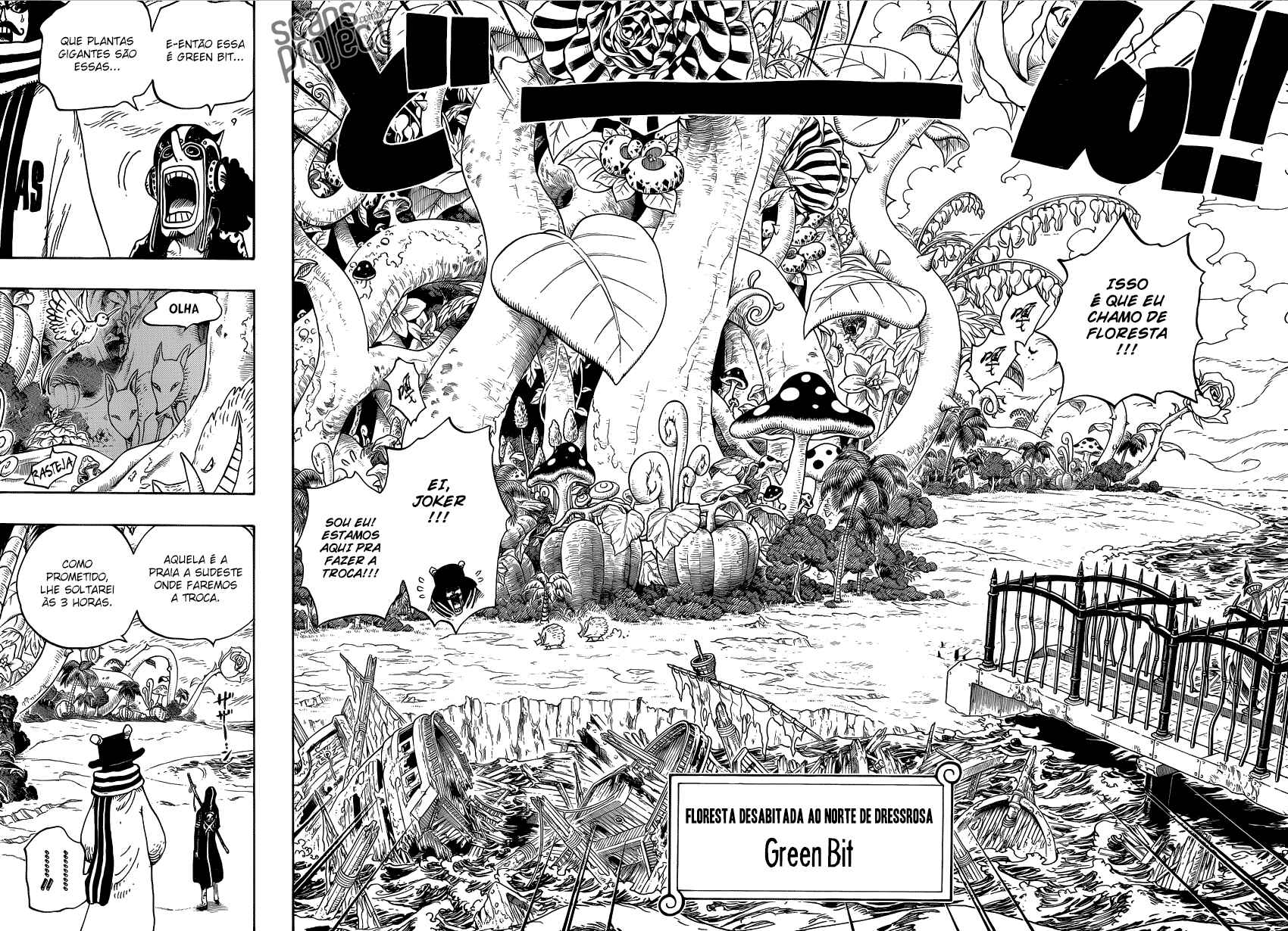 One Piece capítulo 710 página 13