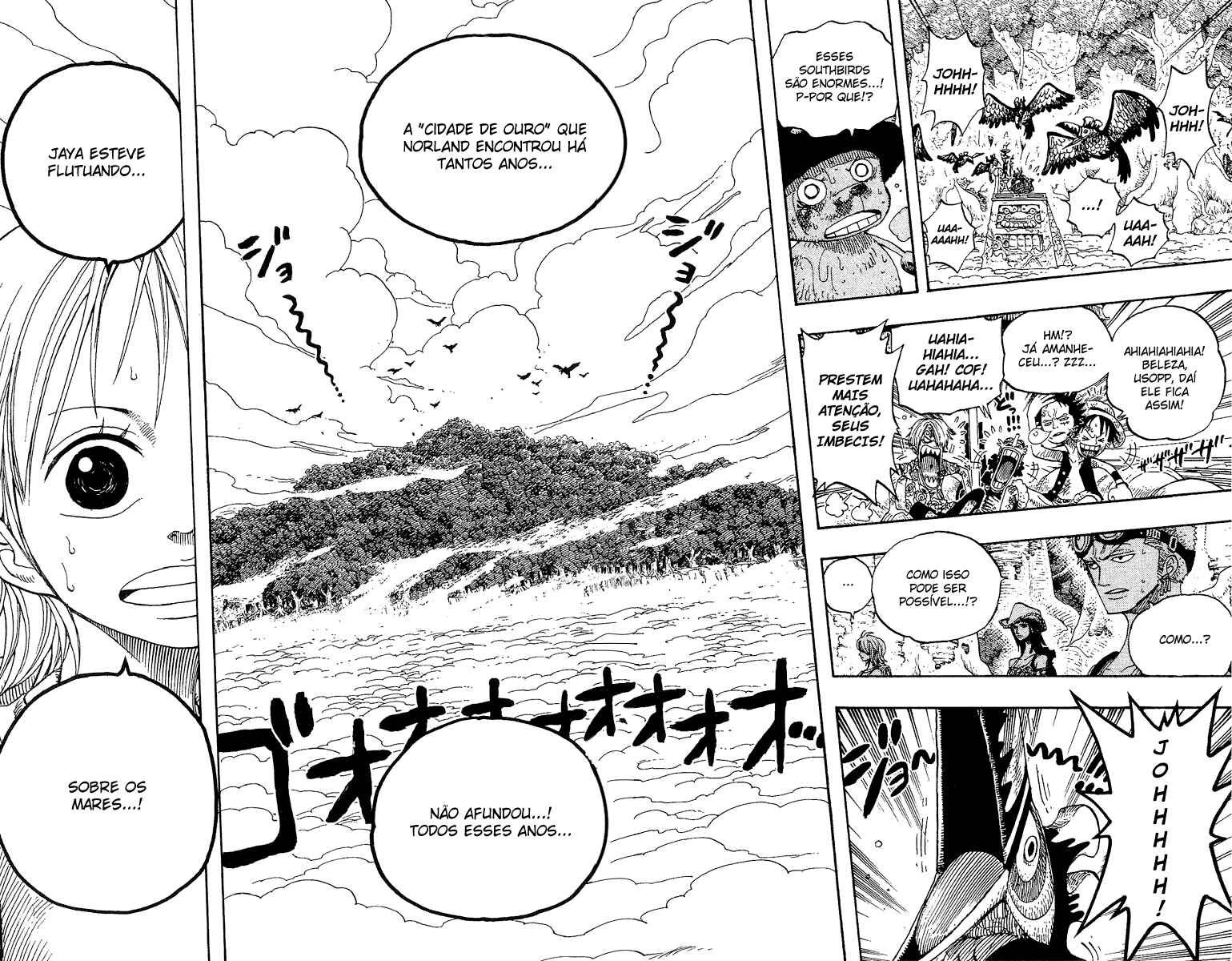 One Piece capítulo 251 página 17