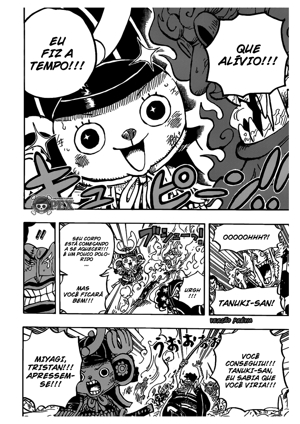 One Piece capítulo 1007 página 8