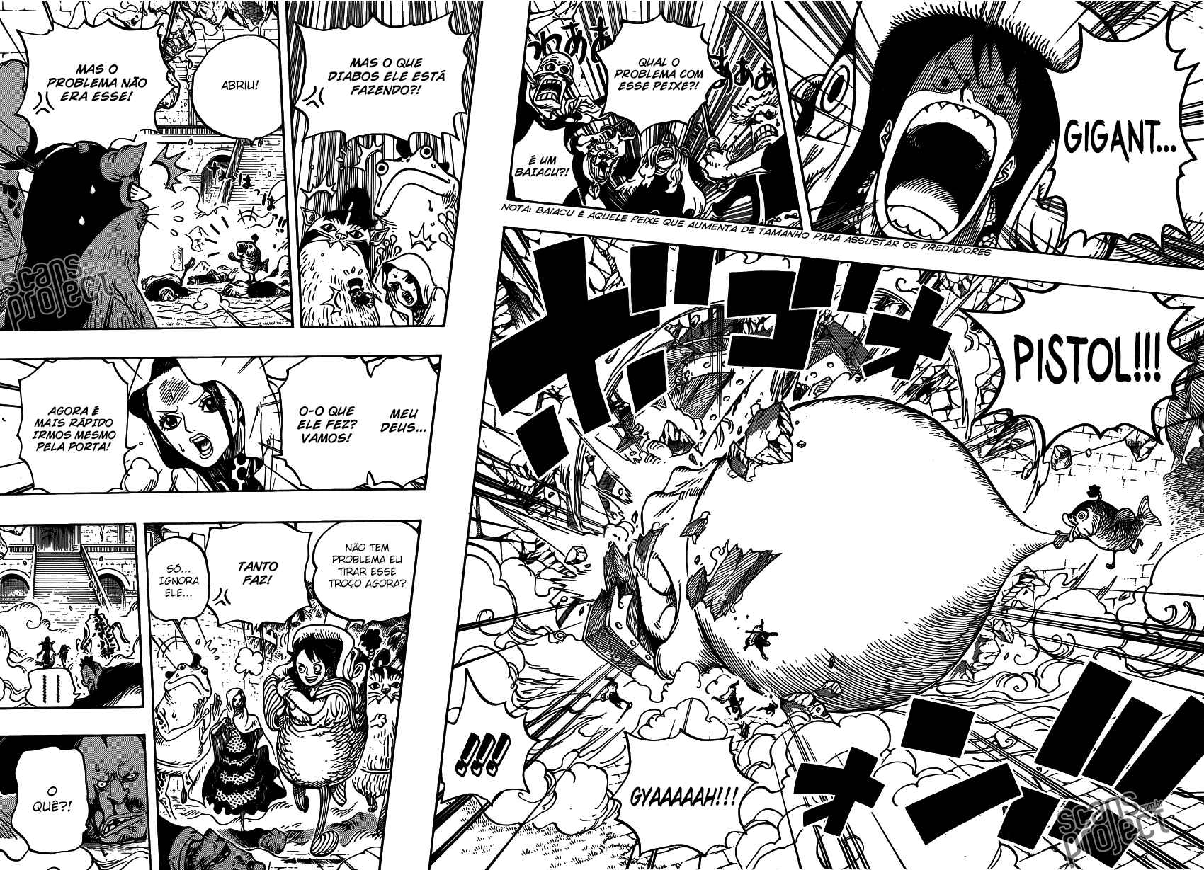 One Piece capítulo 736 página 12