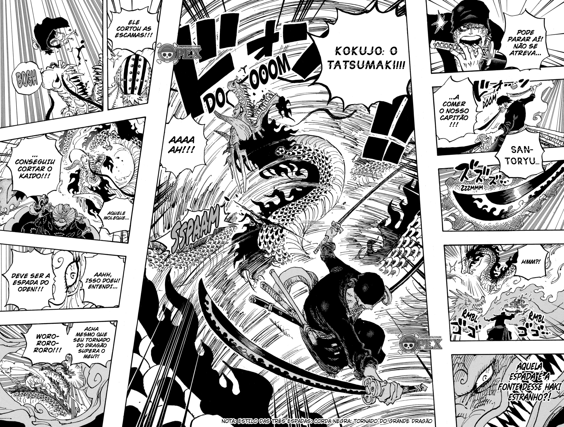 One Piece capítulo 1003 página 8
