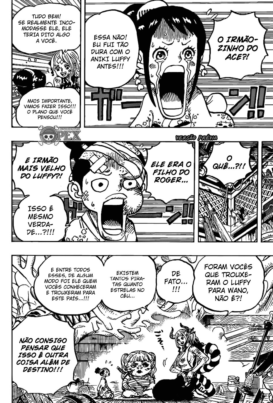 One Piece capítulo 999 página 14