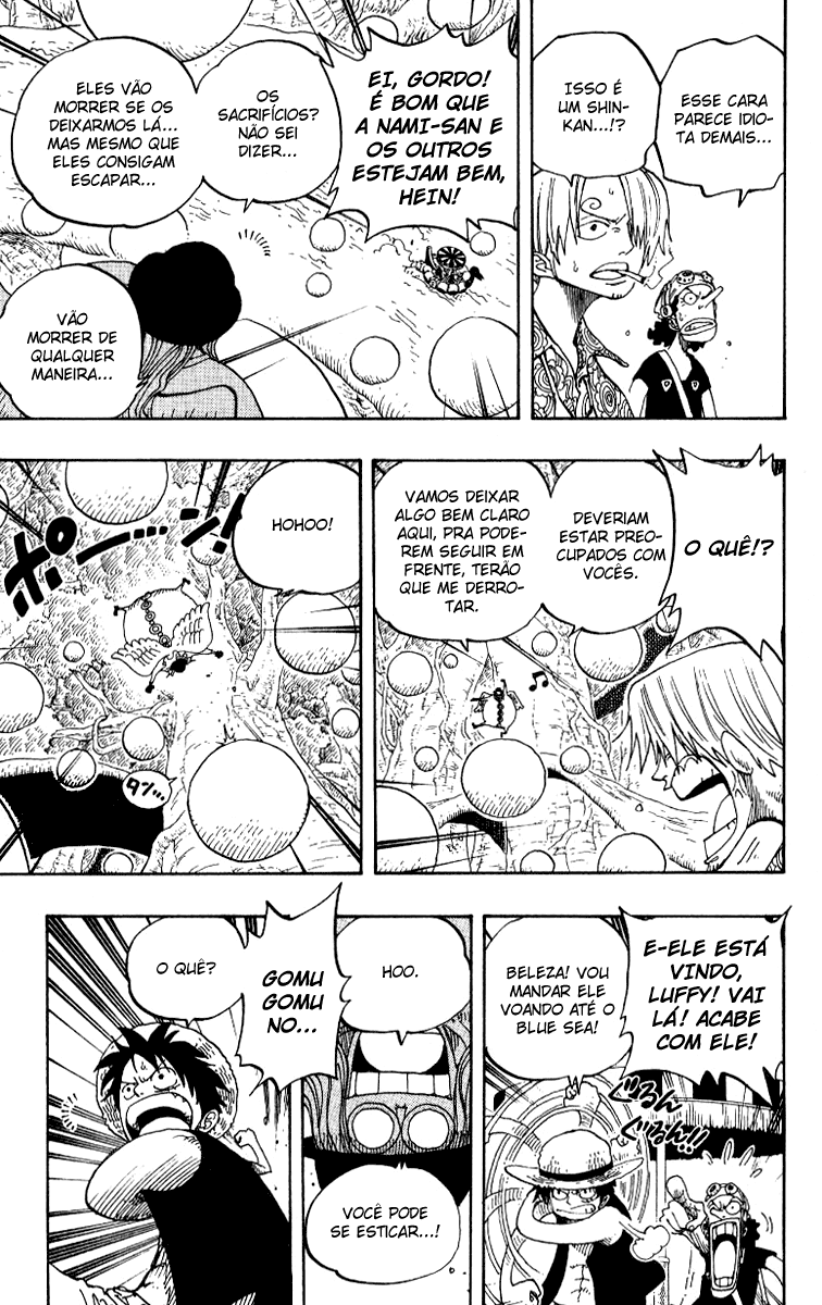 One Piece capítulo 246 página 13