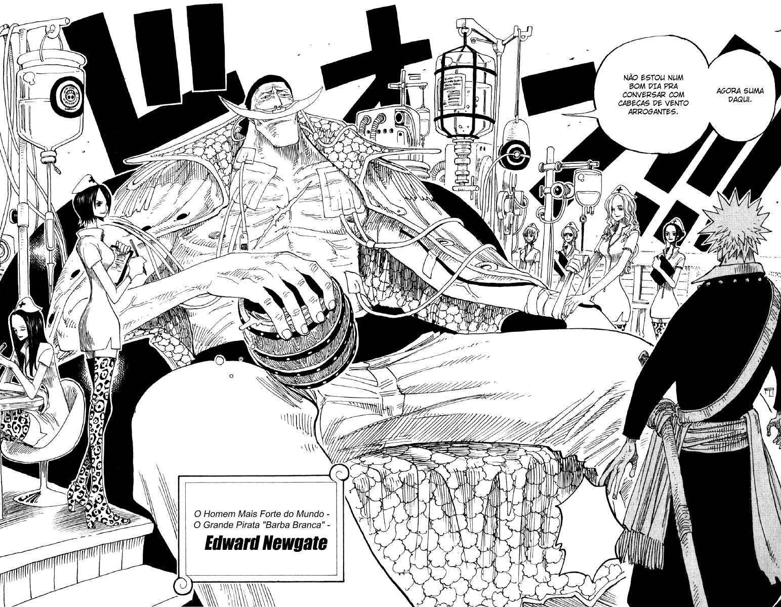 One Piece capítulo 234 página 12