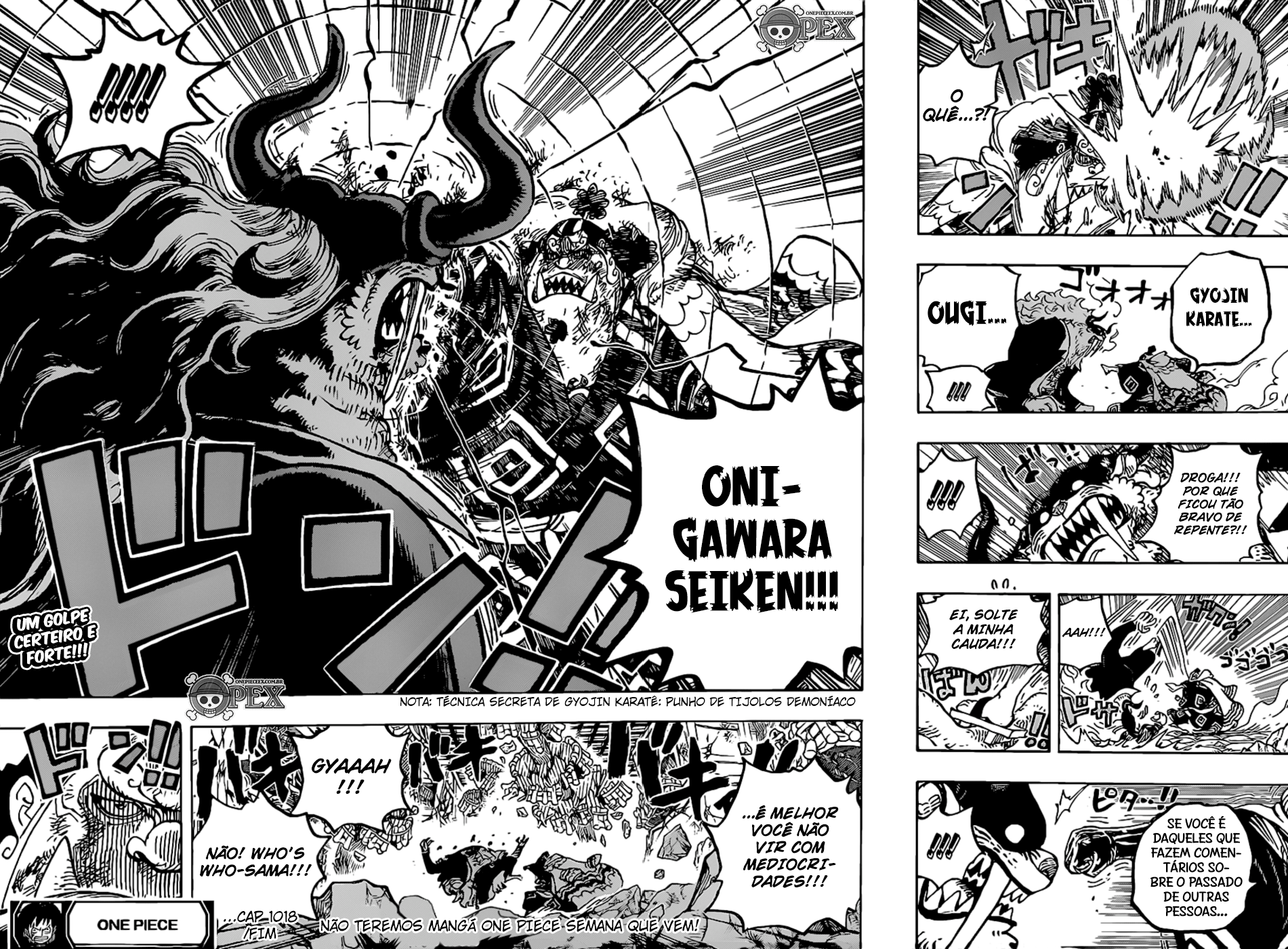 One Piece capítulo 1018 página 16