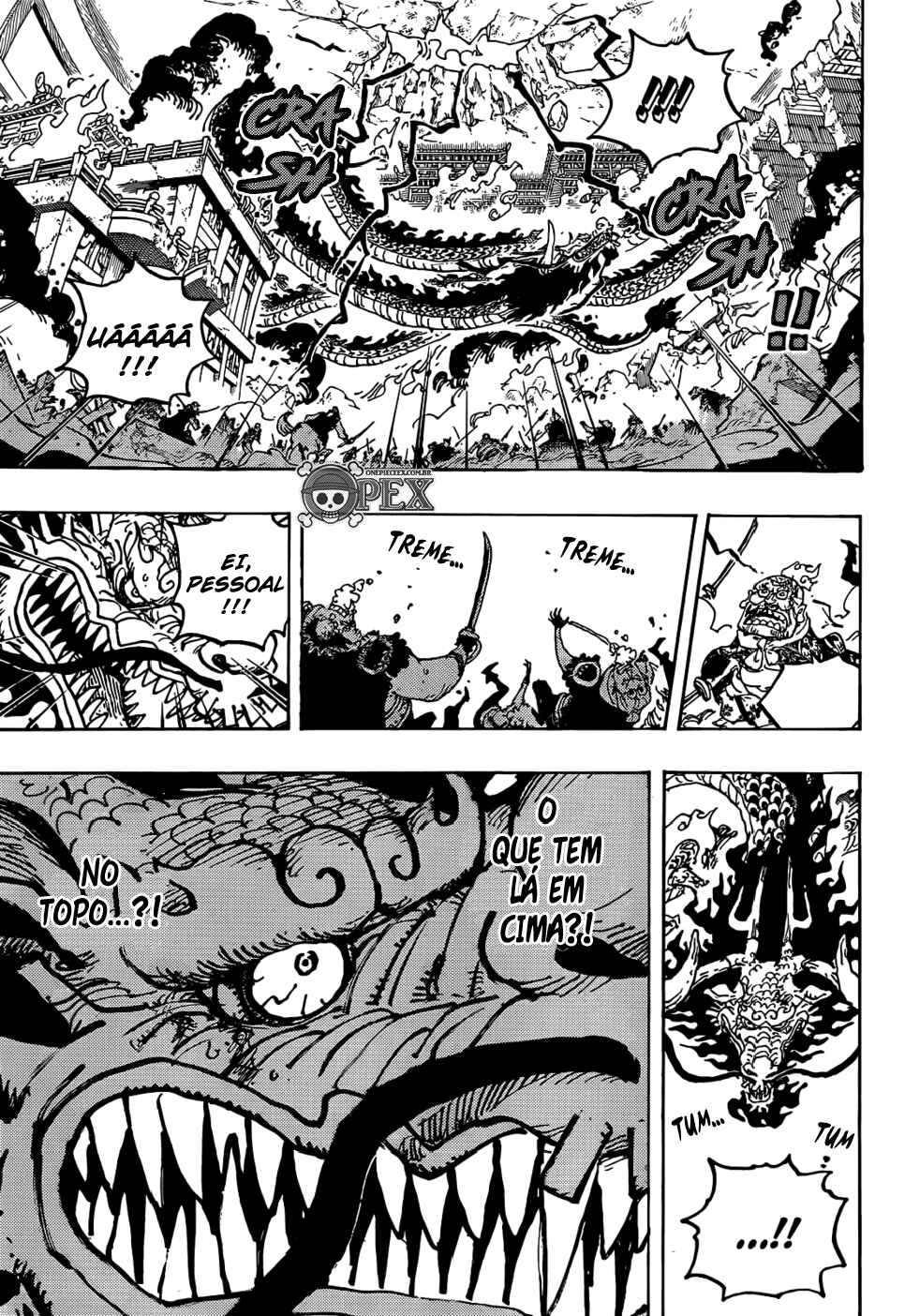 One Piece capítulo 1044 página 10
