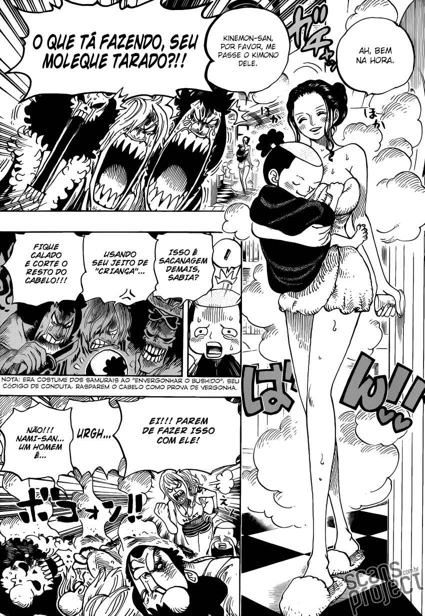 One Piece capítulo 699 página 14