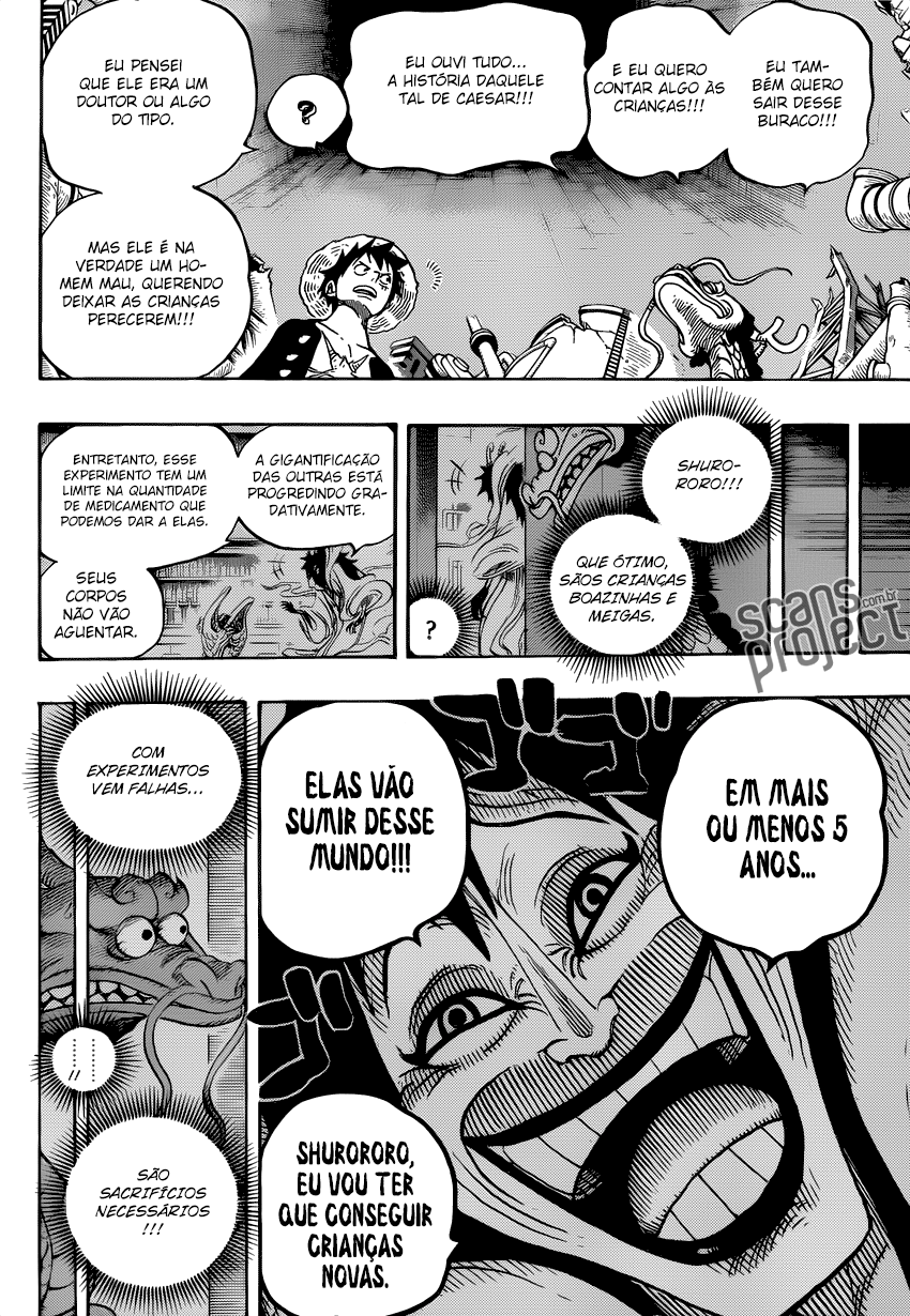 One Piece capítulo 685 página 13