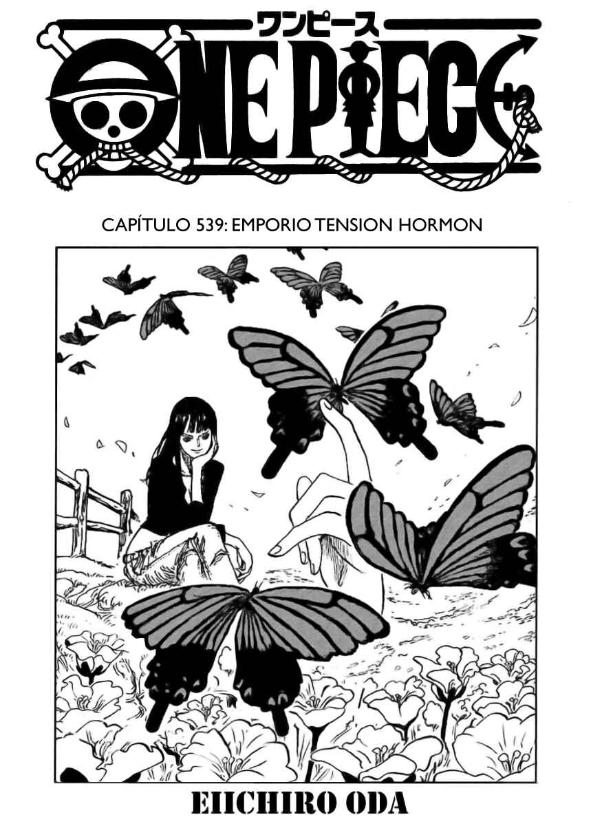 One Piece capítulo 539 página 2