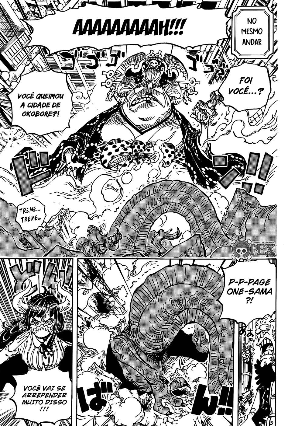 One Piece capítulo 1012 página 11