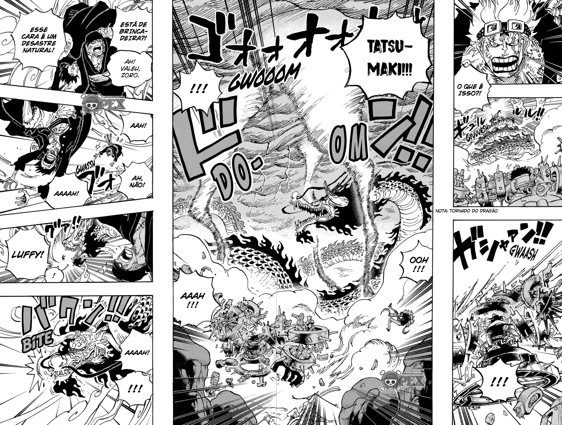 One Piece capítulo 1003 página 7