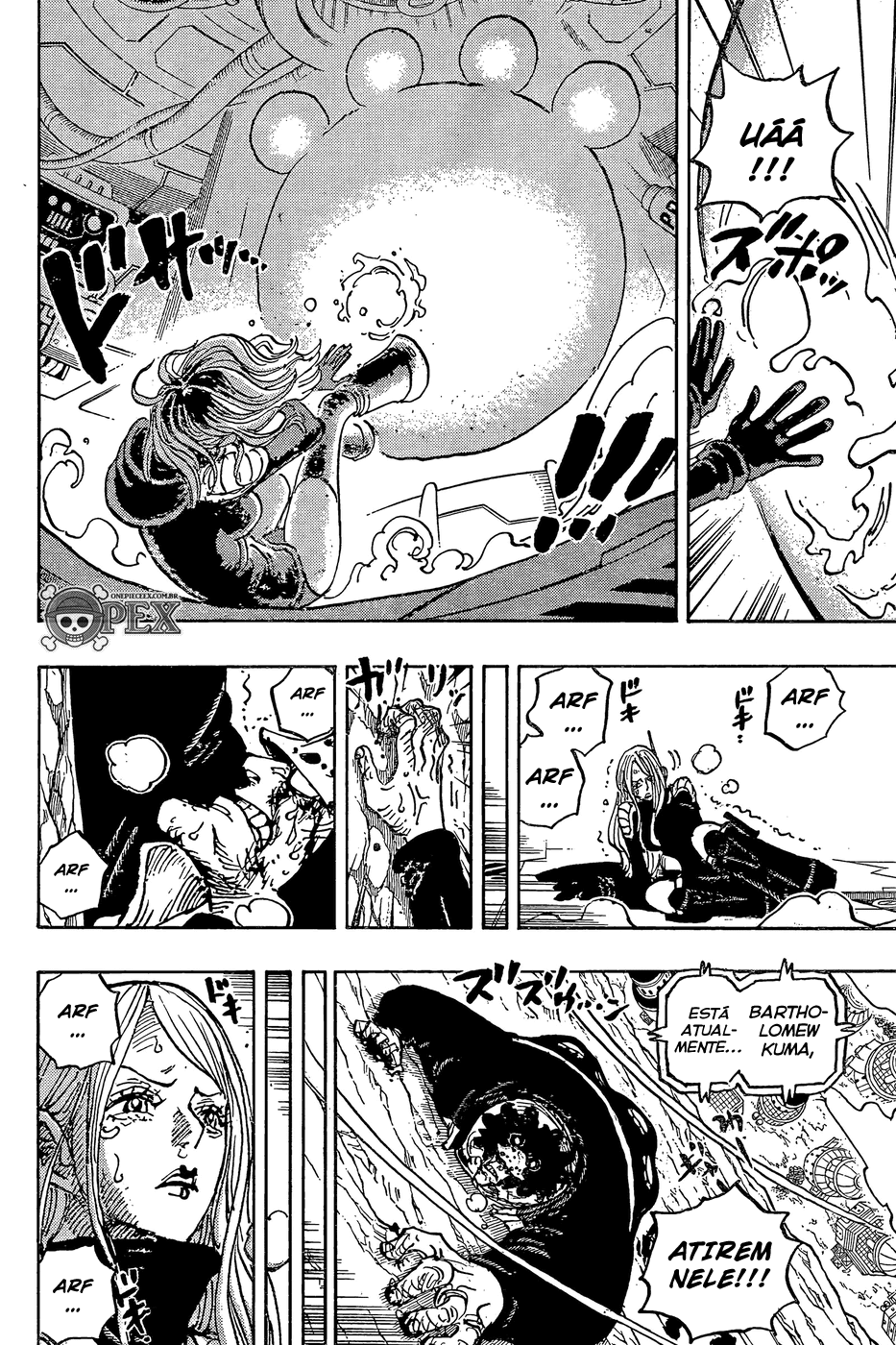One Piece capítulo 1074 página 13