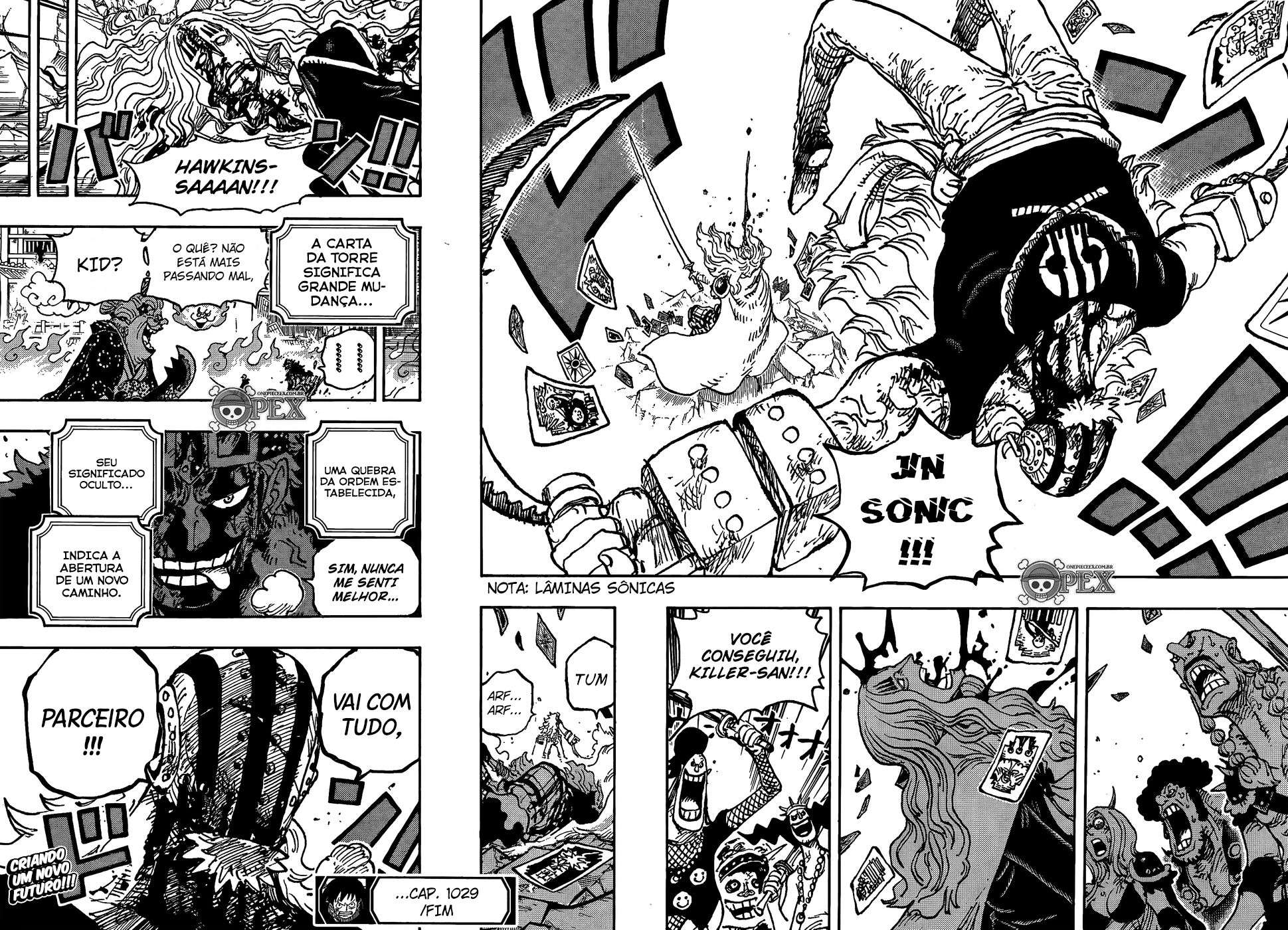 One Piece capítulo 1029 página 14