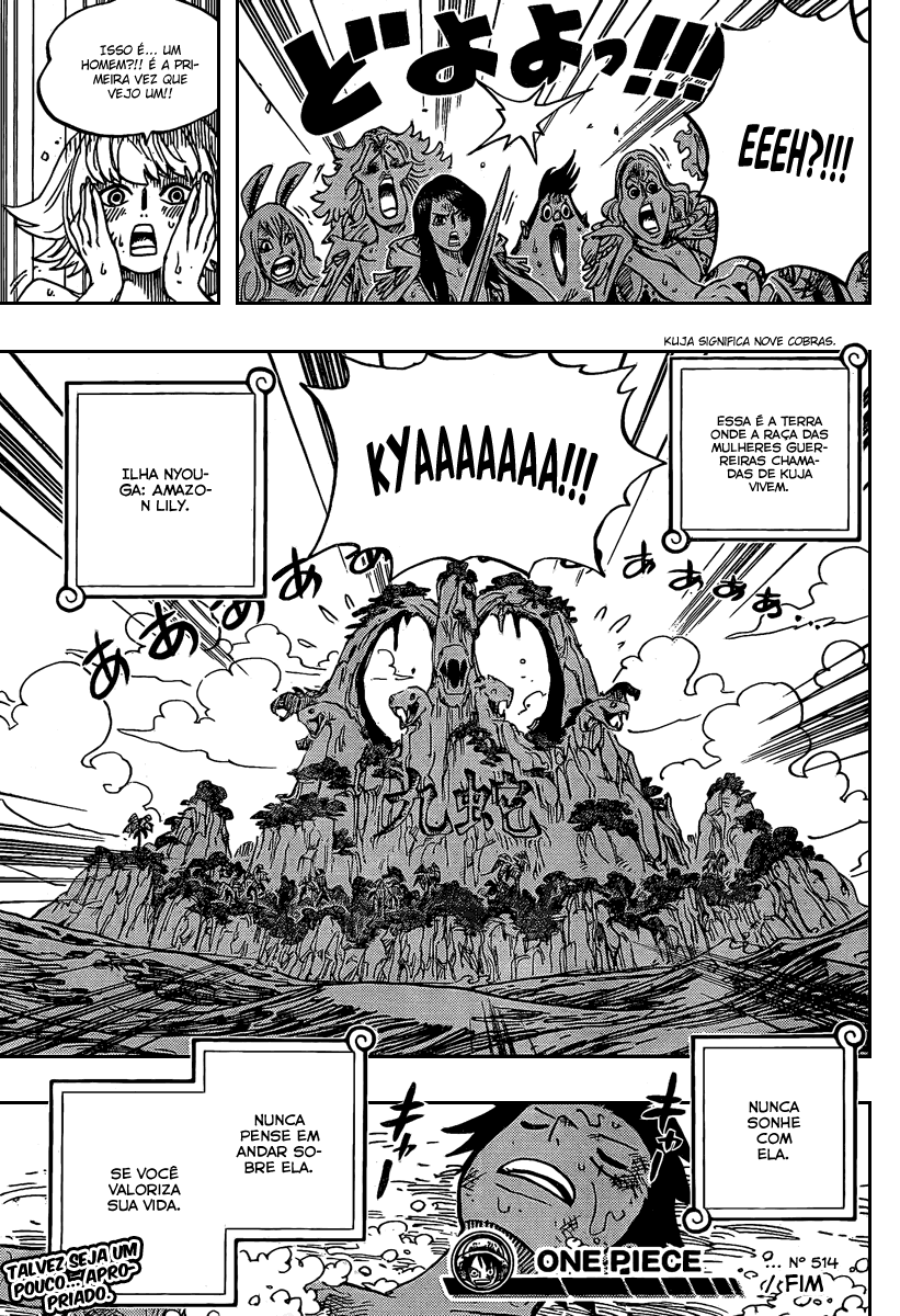 One Piece capítulo 514 página 18