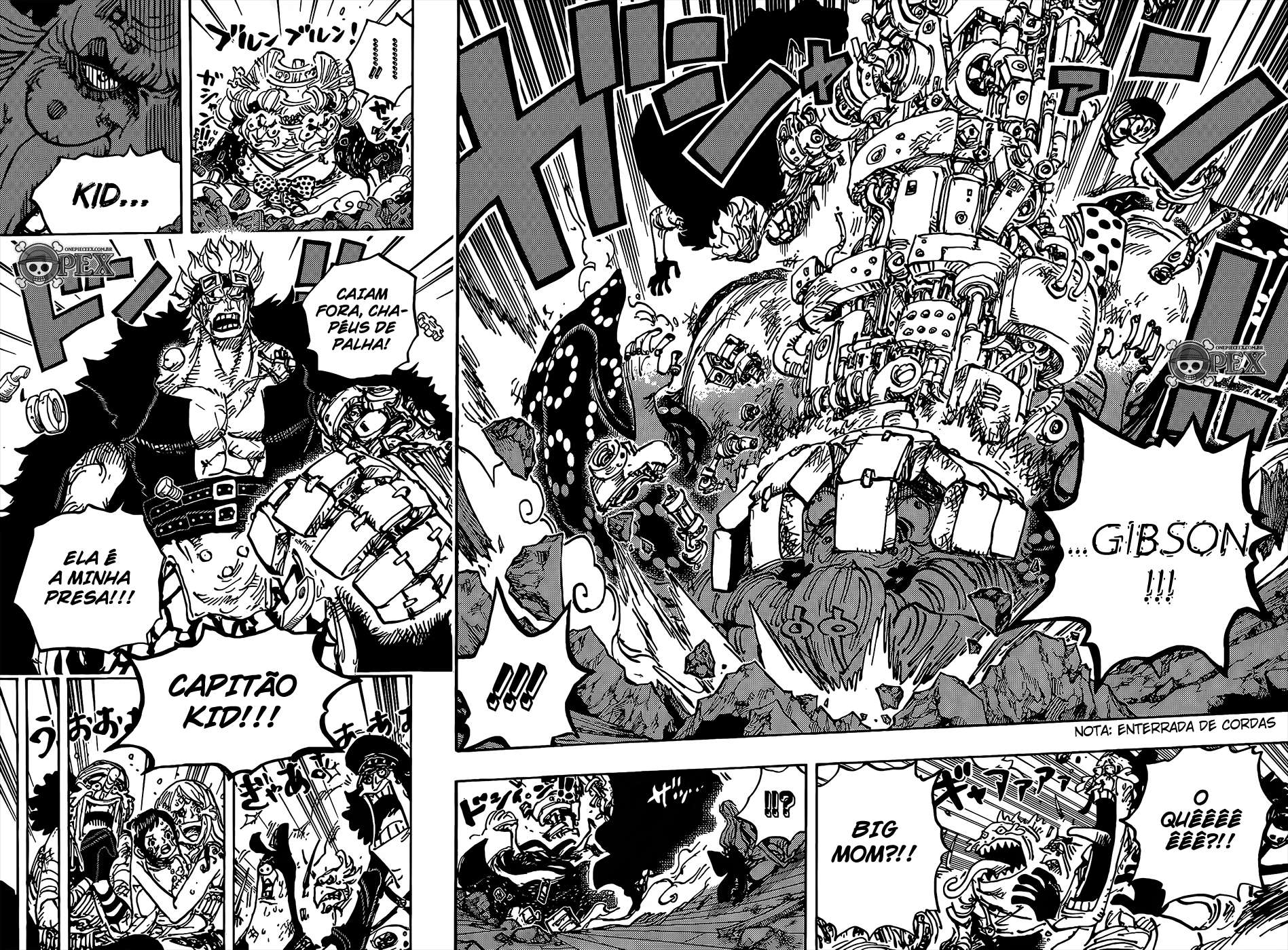 One Piece capítulo 1013 página 13