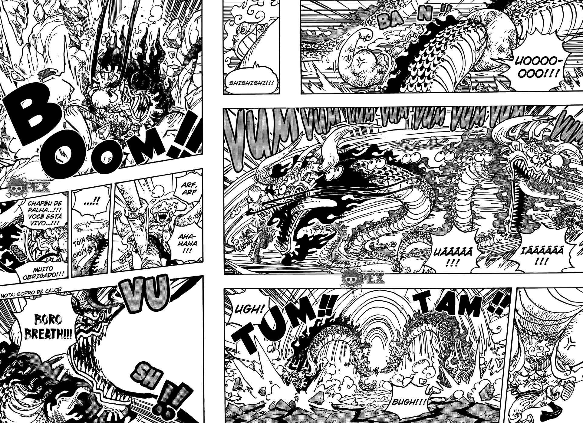 One Piece capítulo 1044 página 12