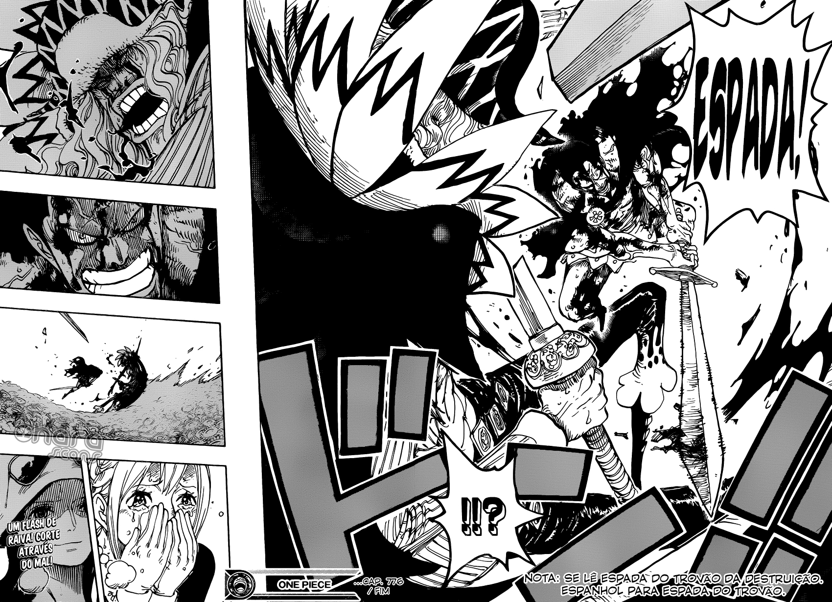 One Piece capítulo 776 página 18