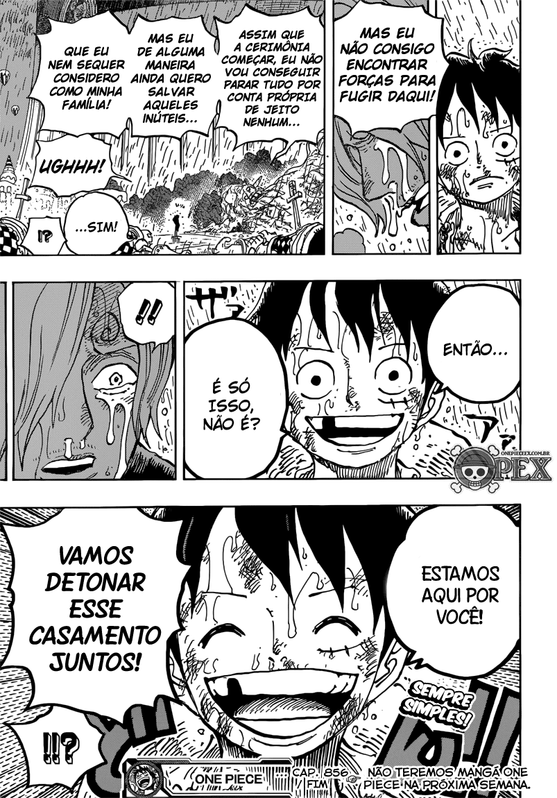 One Piece capítulo 856 página 18
