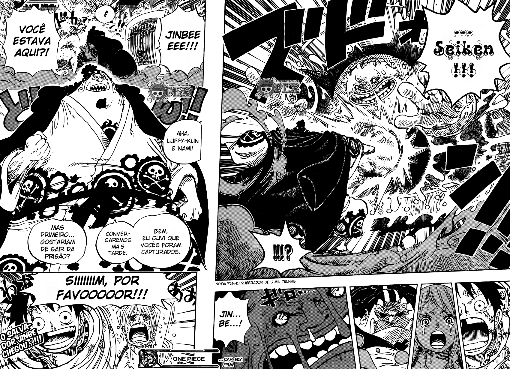 One Piece capítulo 851 página 15