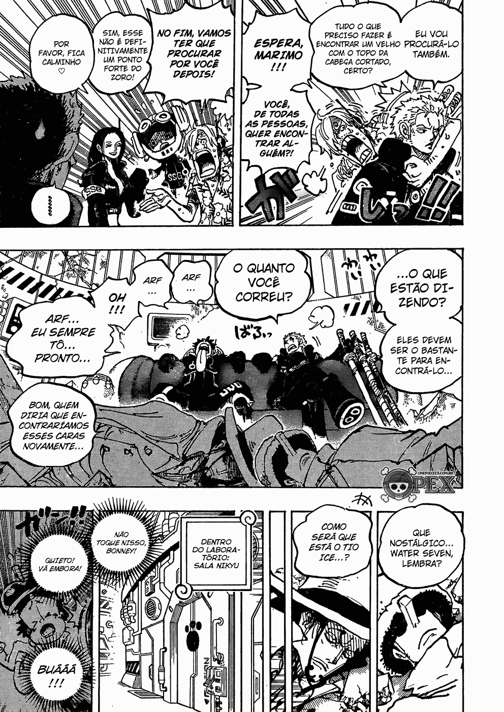 One Piece capítulo 1074 página 10
