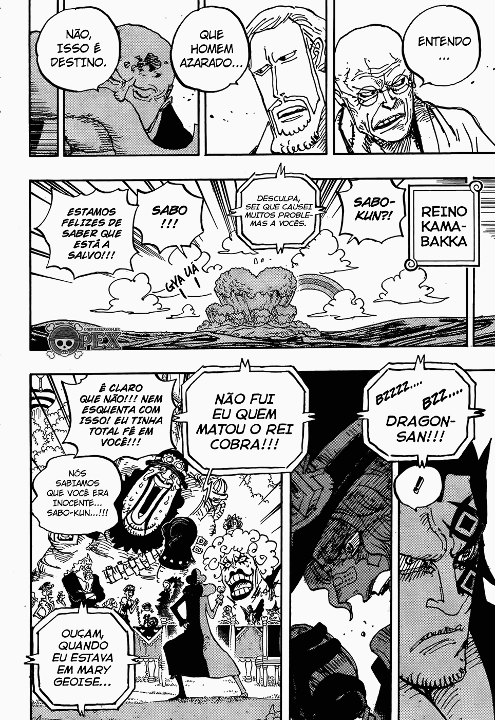 One Piece capítulo 1060 página 11