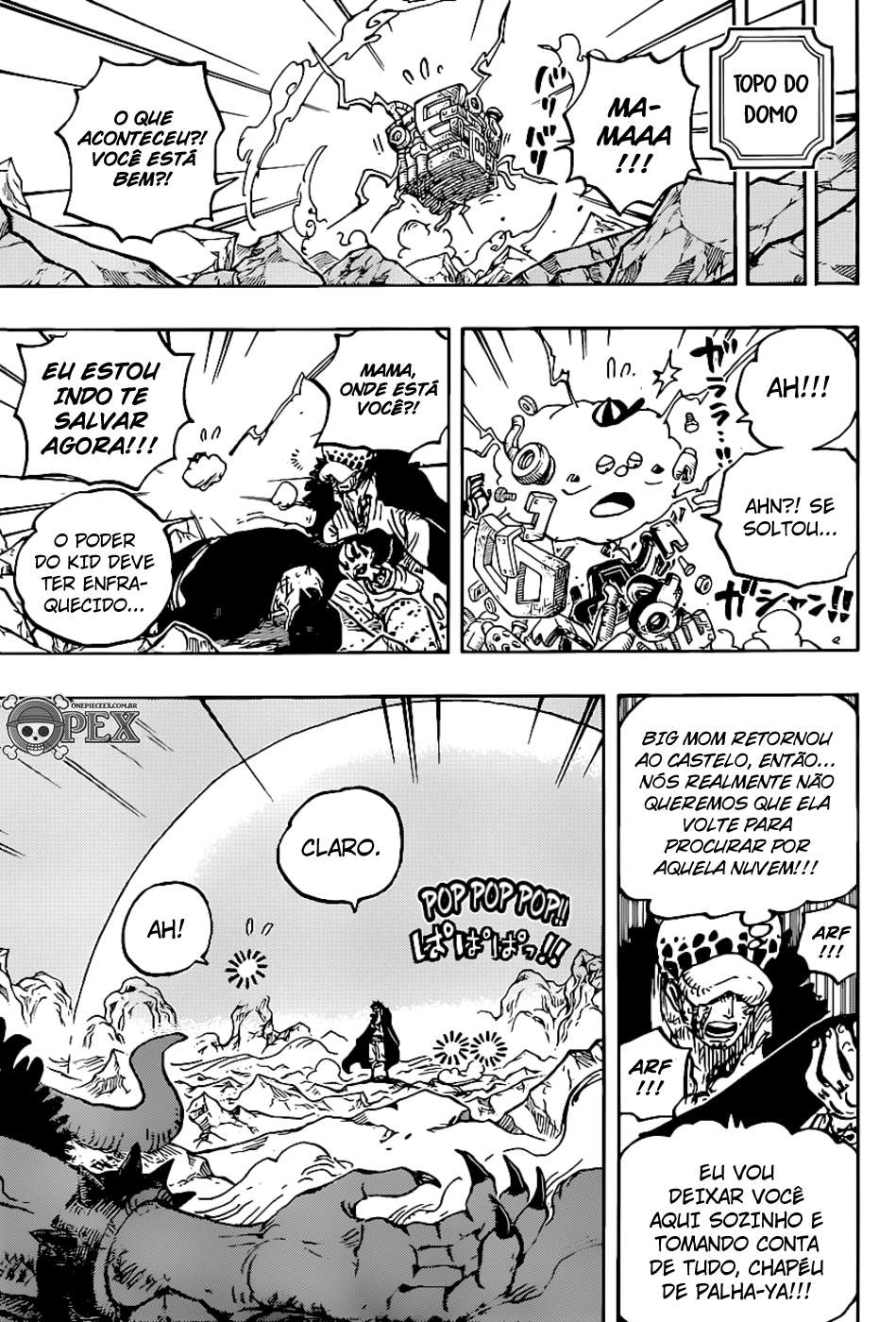 One Piece capítulo 1011 página 5