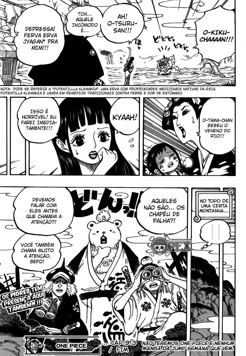 One Piece capítulo 913 página 15